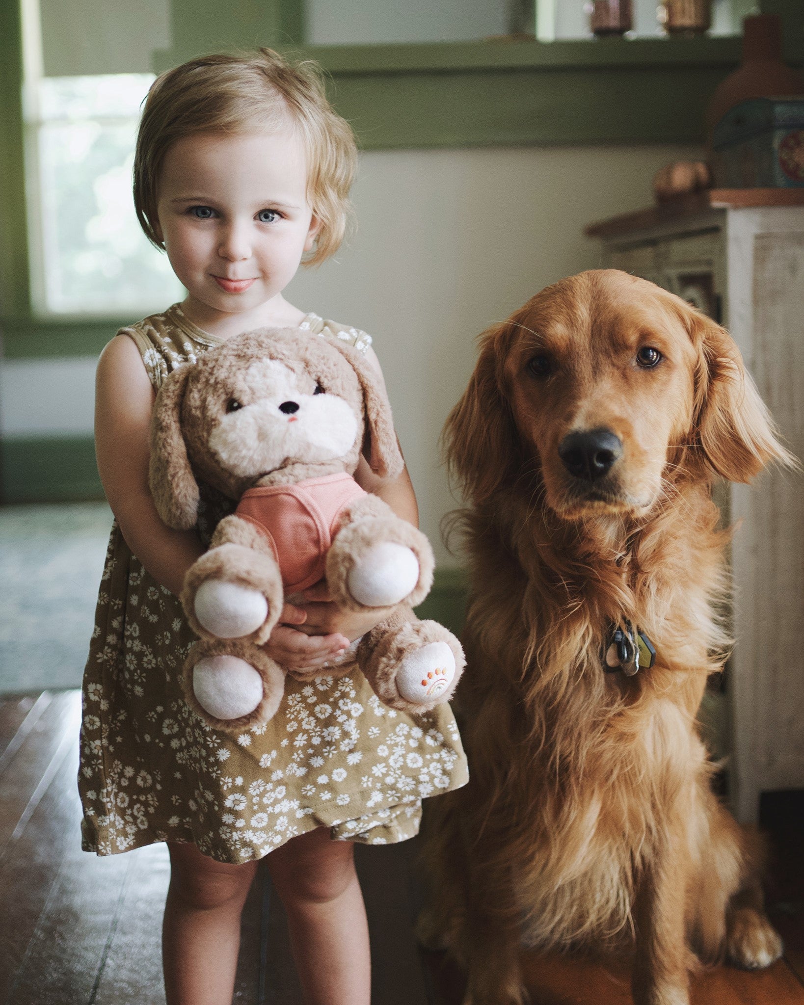 Olli Ella | Dinkum Dogs - Honey