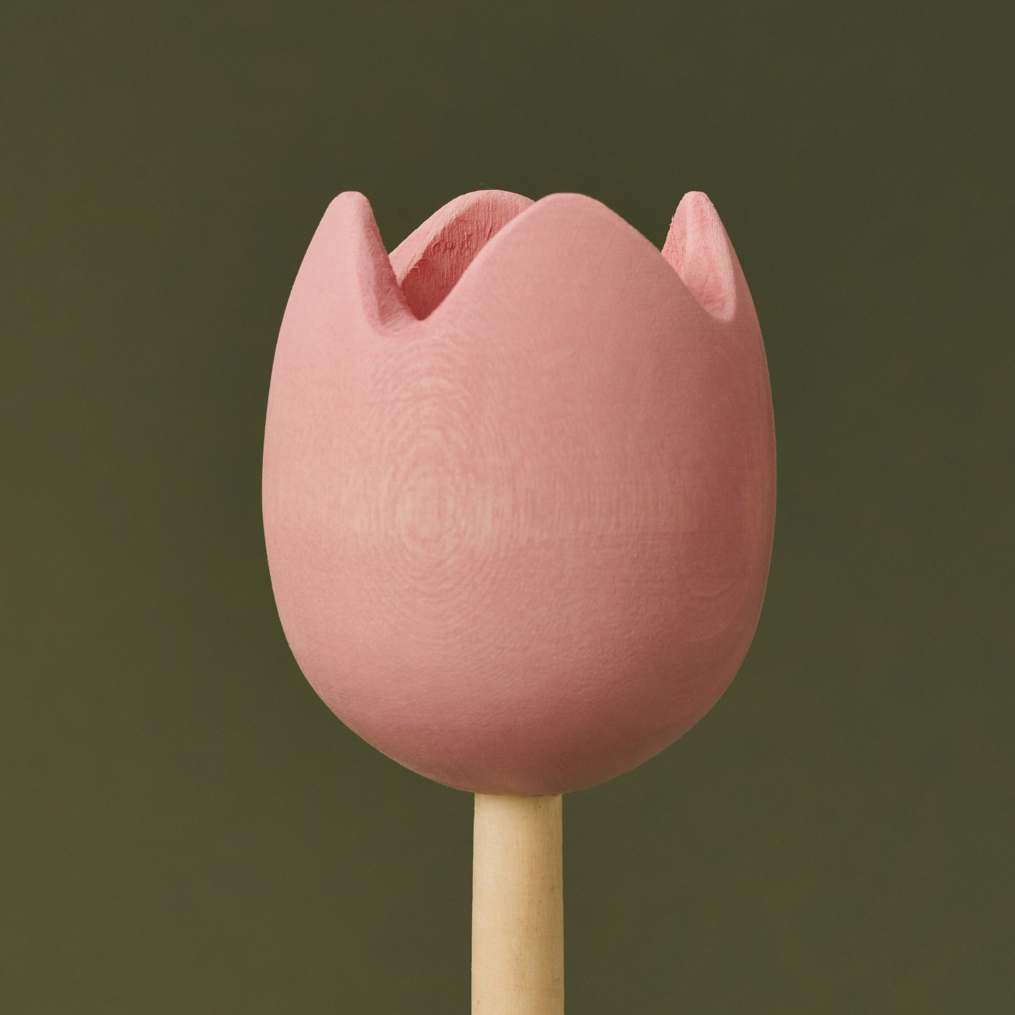 Raduga Grez | Wooden Sorting Tulips