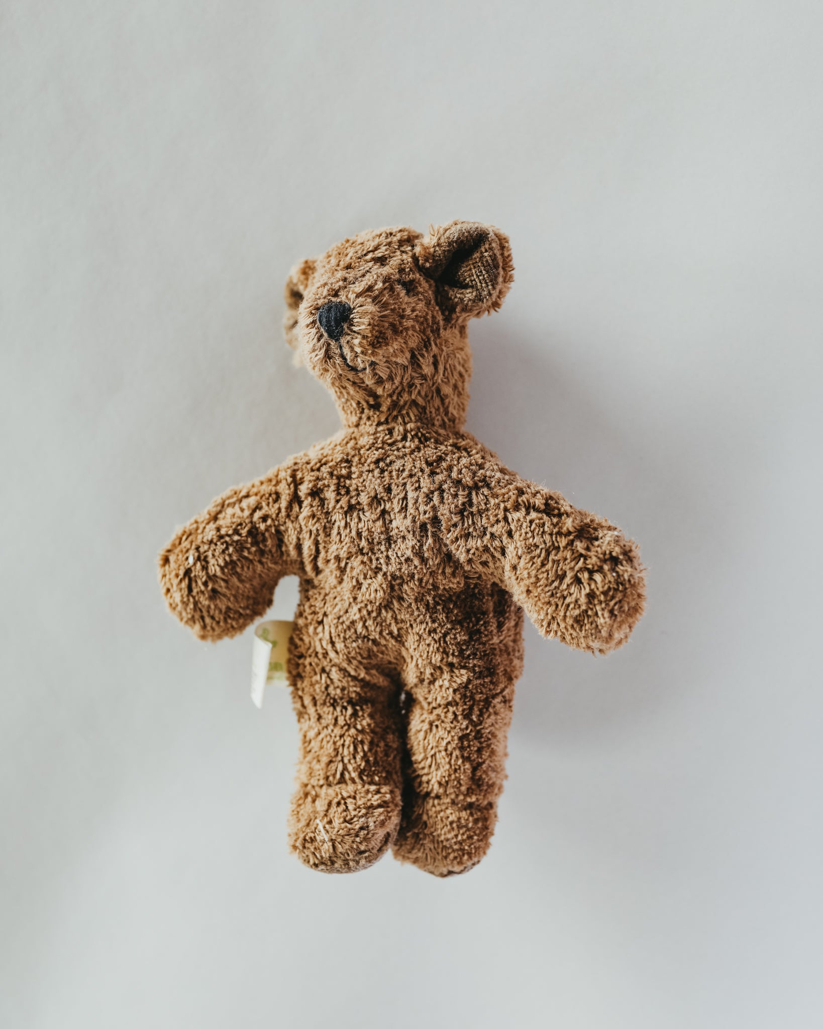 Senger Naturwelt | Animal Baby - Brown Bear