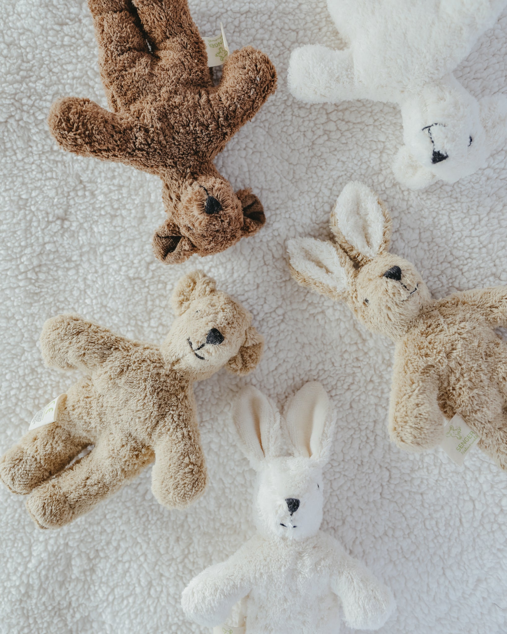 Senger Naturwelt | Animal Baby - Brown Bear