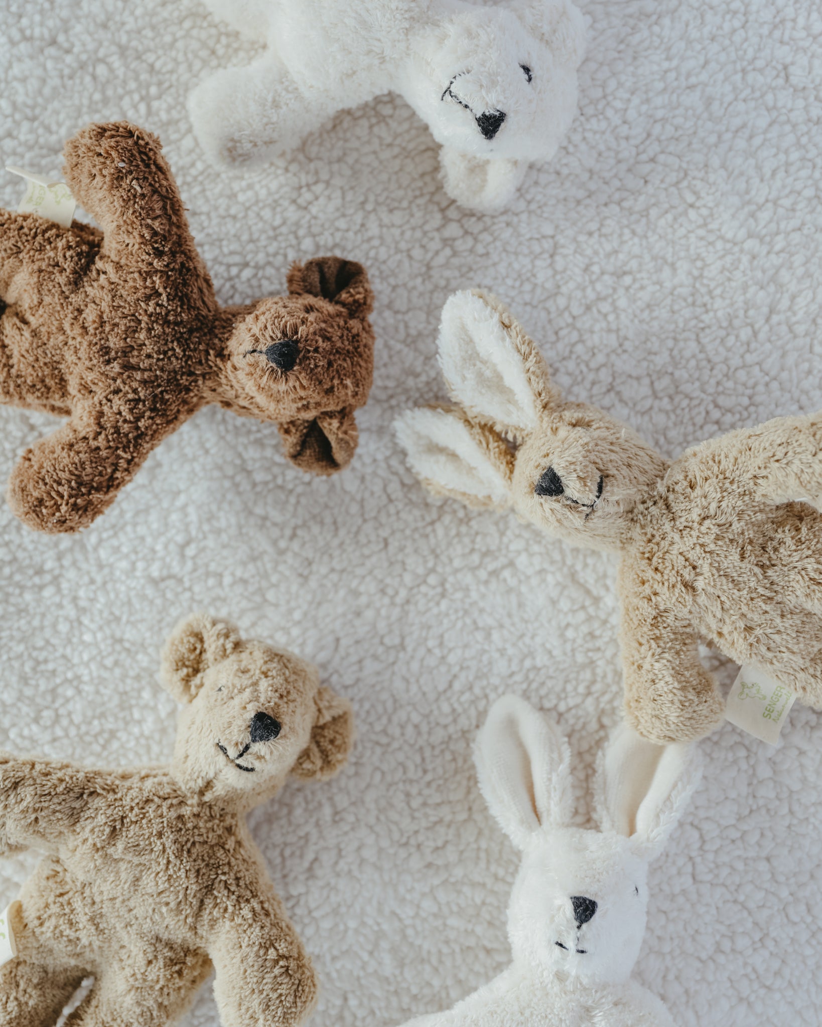 Senger Naturwelt | Animal Baby - Brown Bear