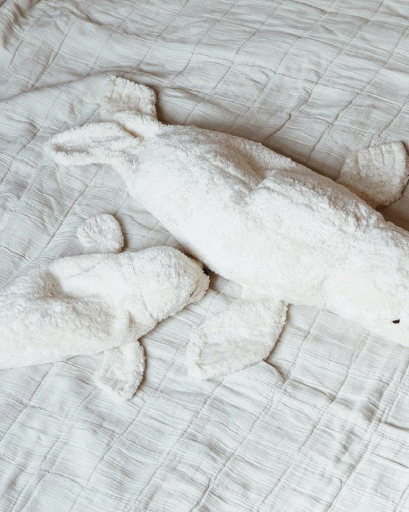 Senger Organic | Cuddly Animal - White Seal