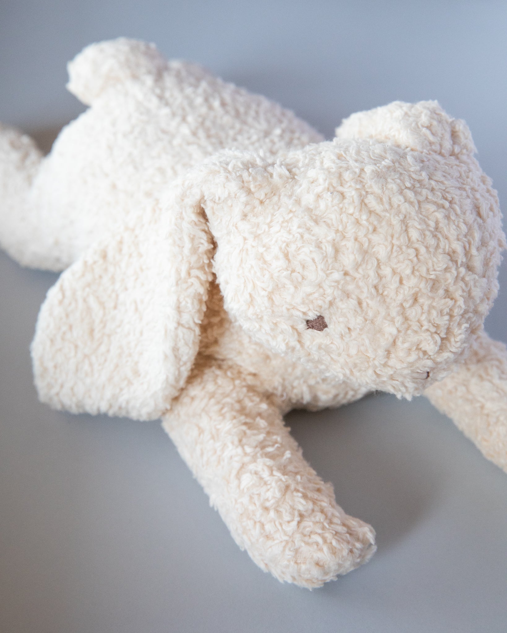 Stuffed Teddy Bunny