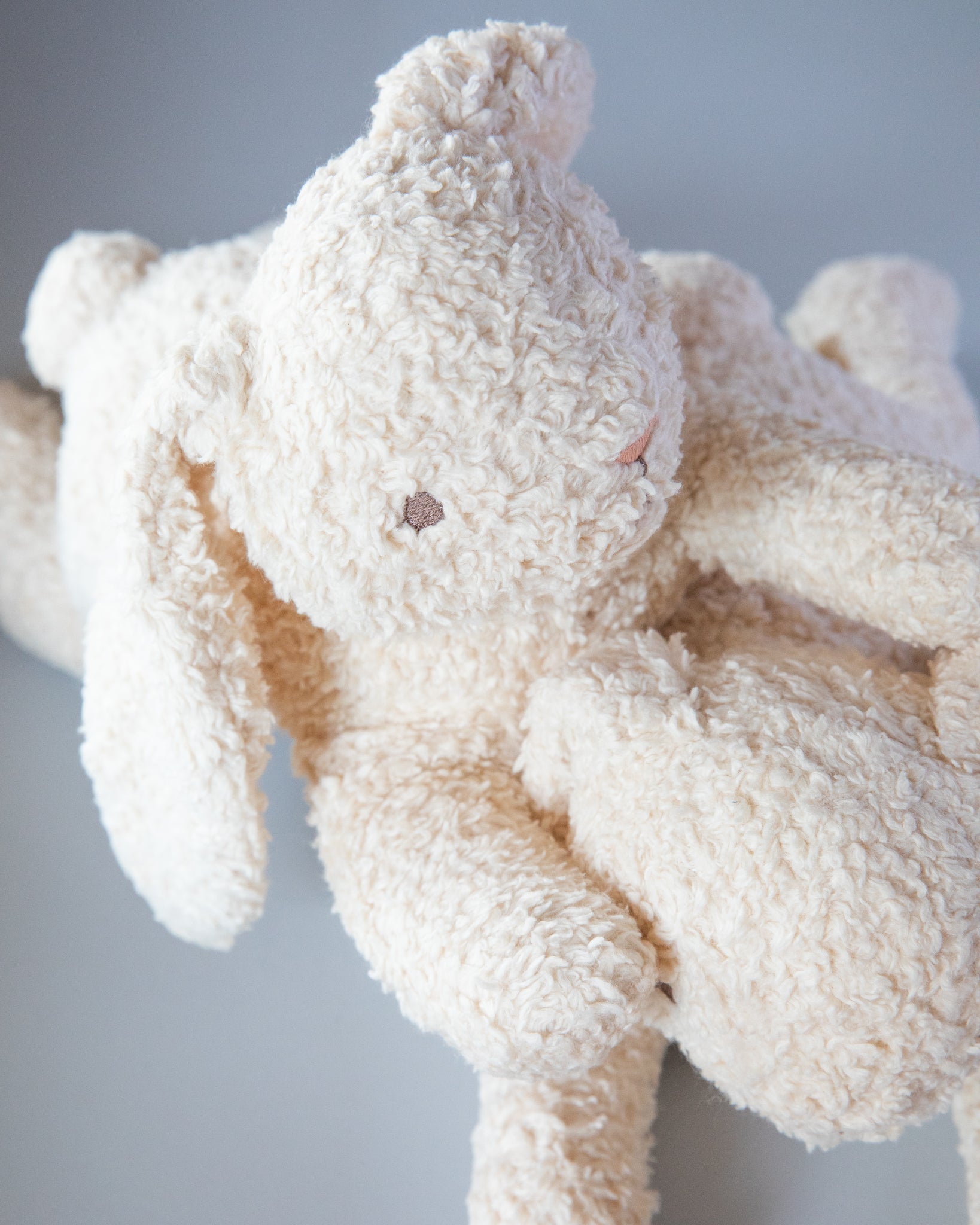 Stuffed Teddy Bunny