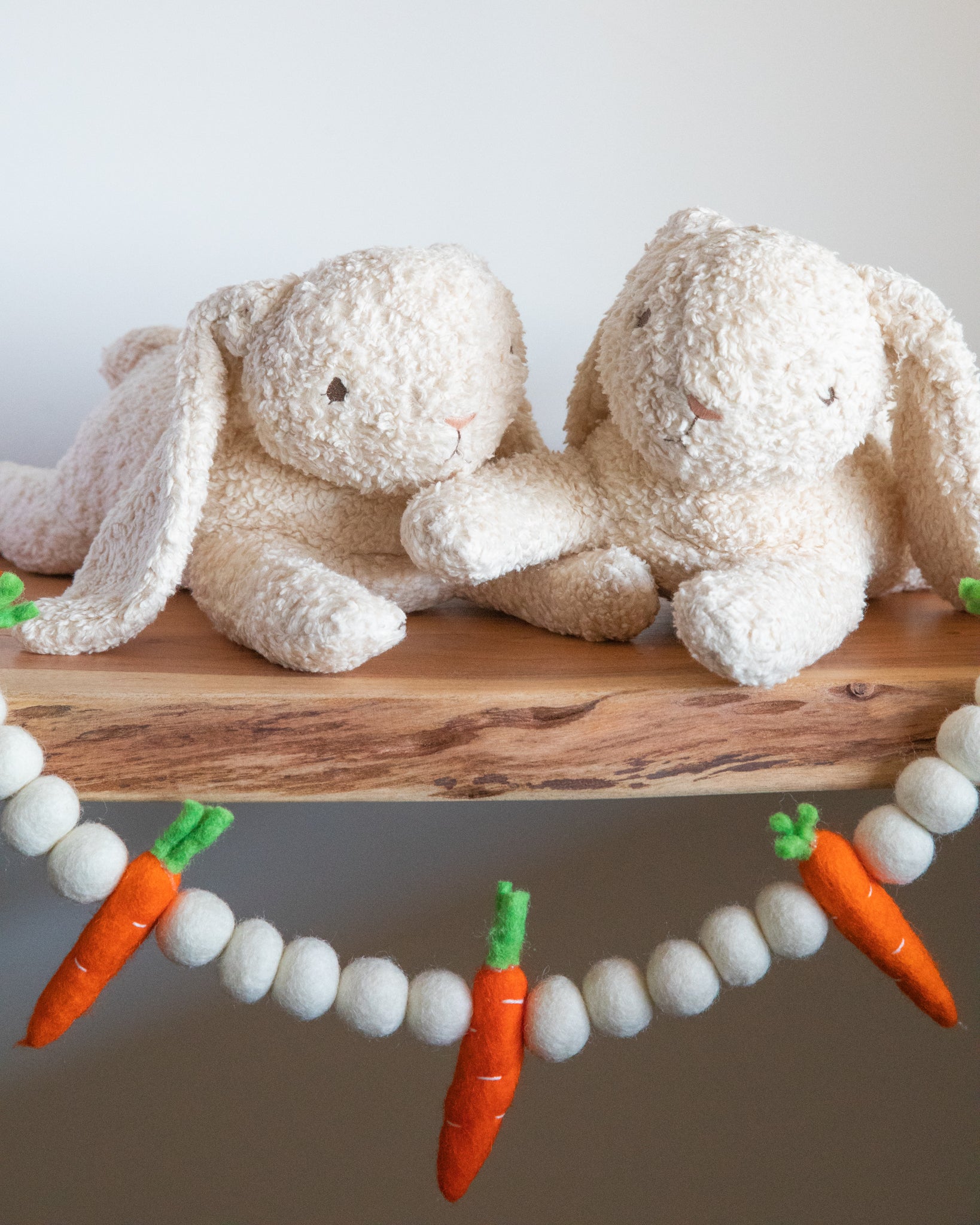 Stuffed Teddy Bunny