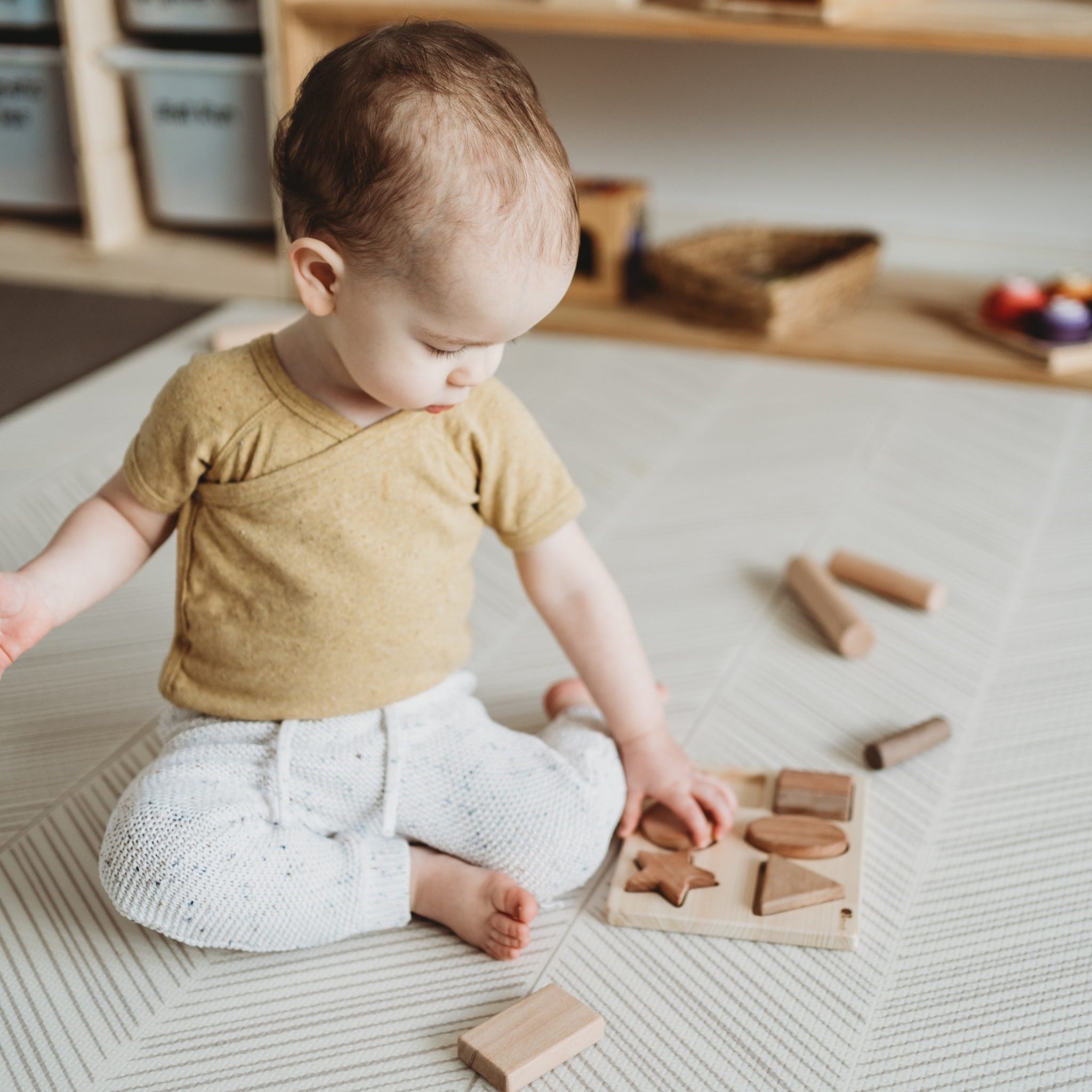 Wooden 6 Shape Puzzle