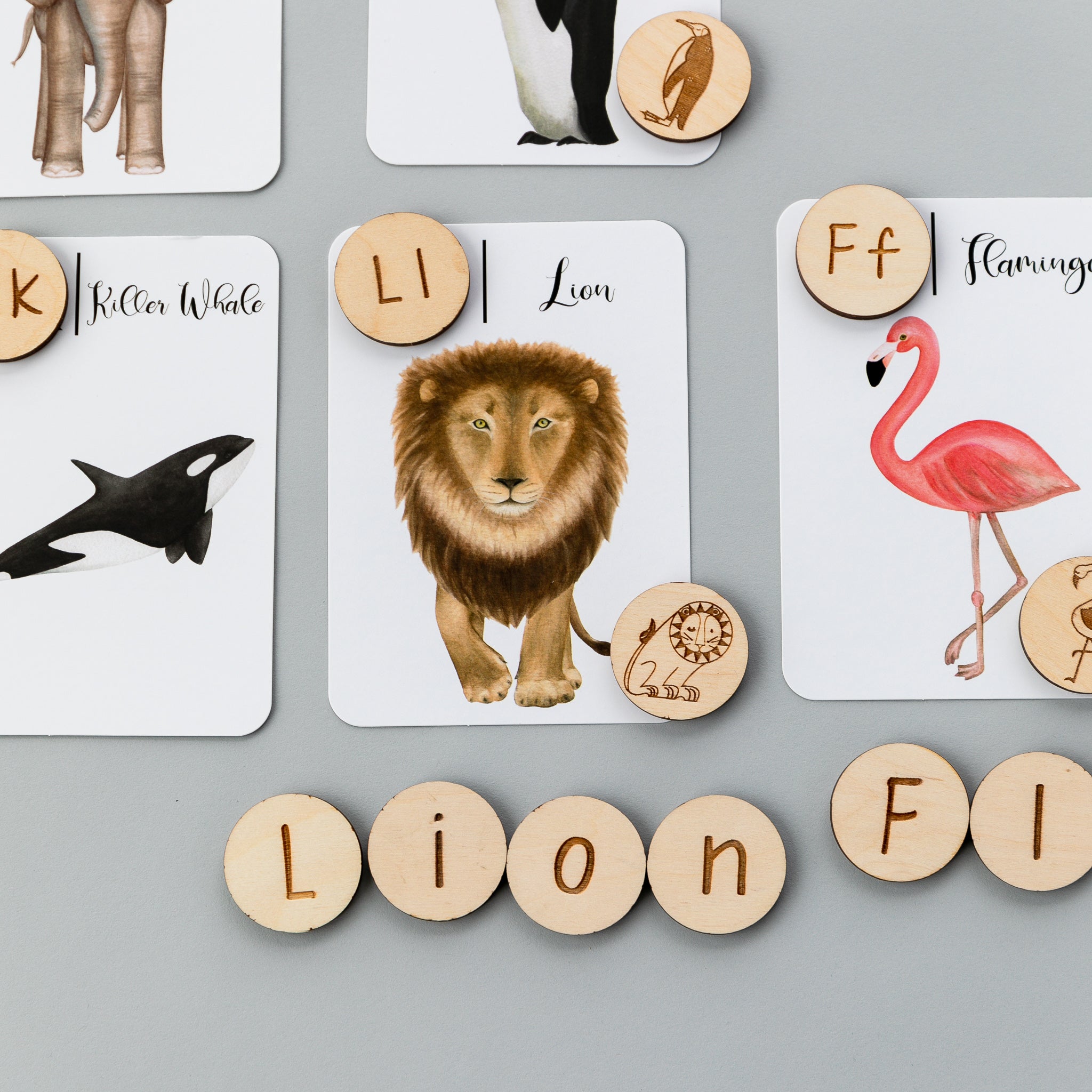 Wooden Alphabet Coins