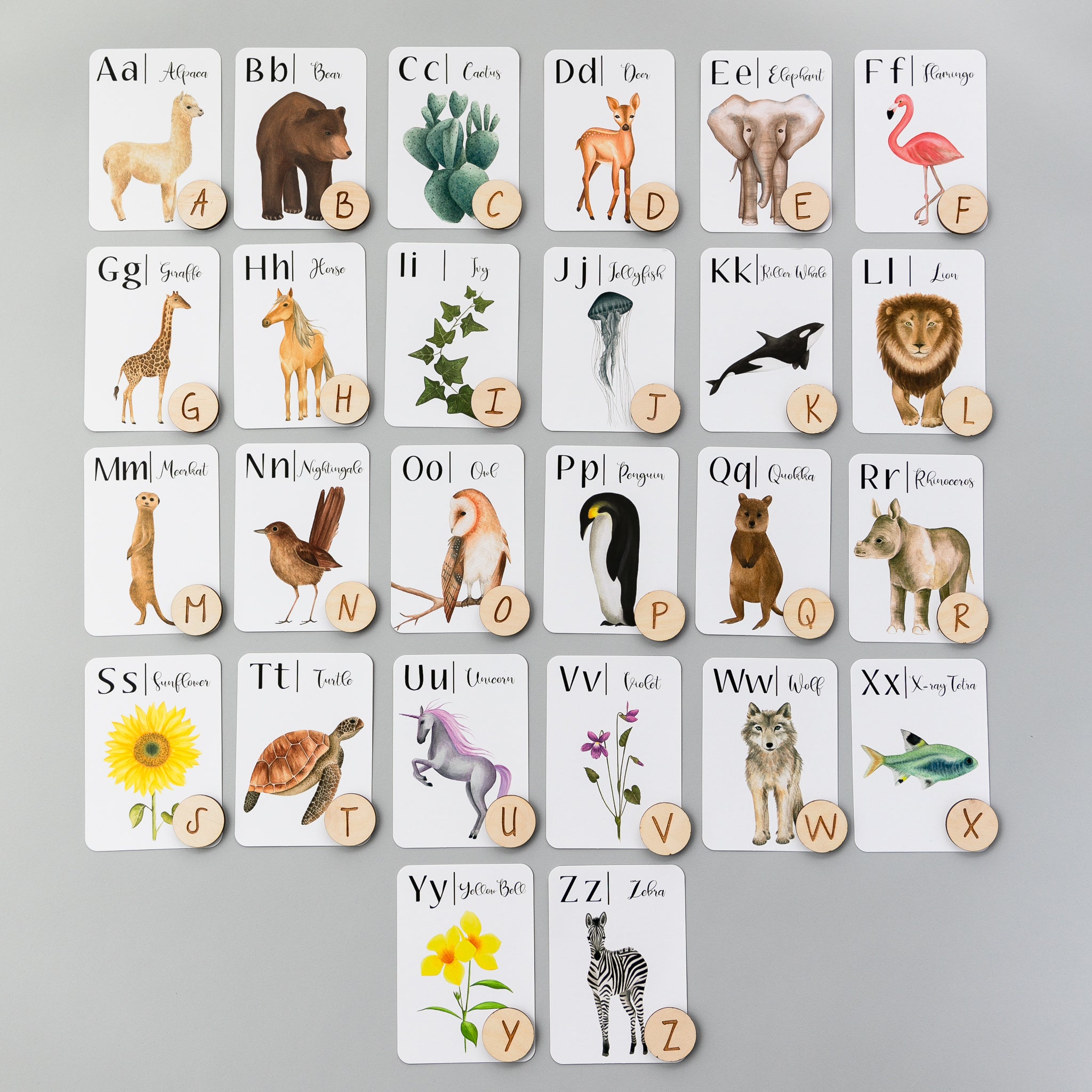 Wooden Alphabet Coins