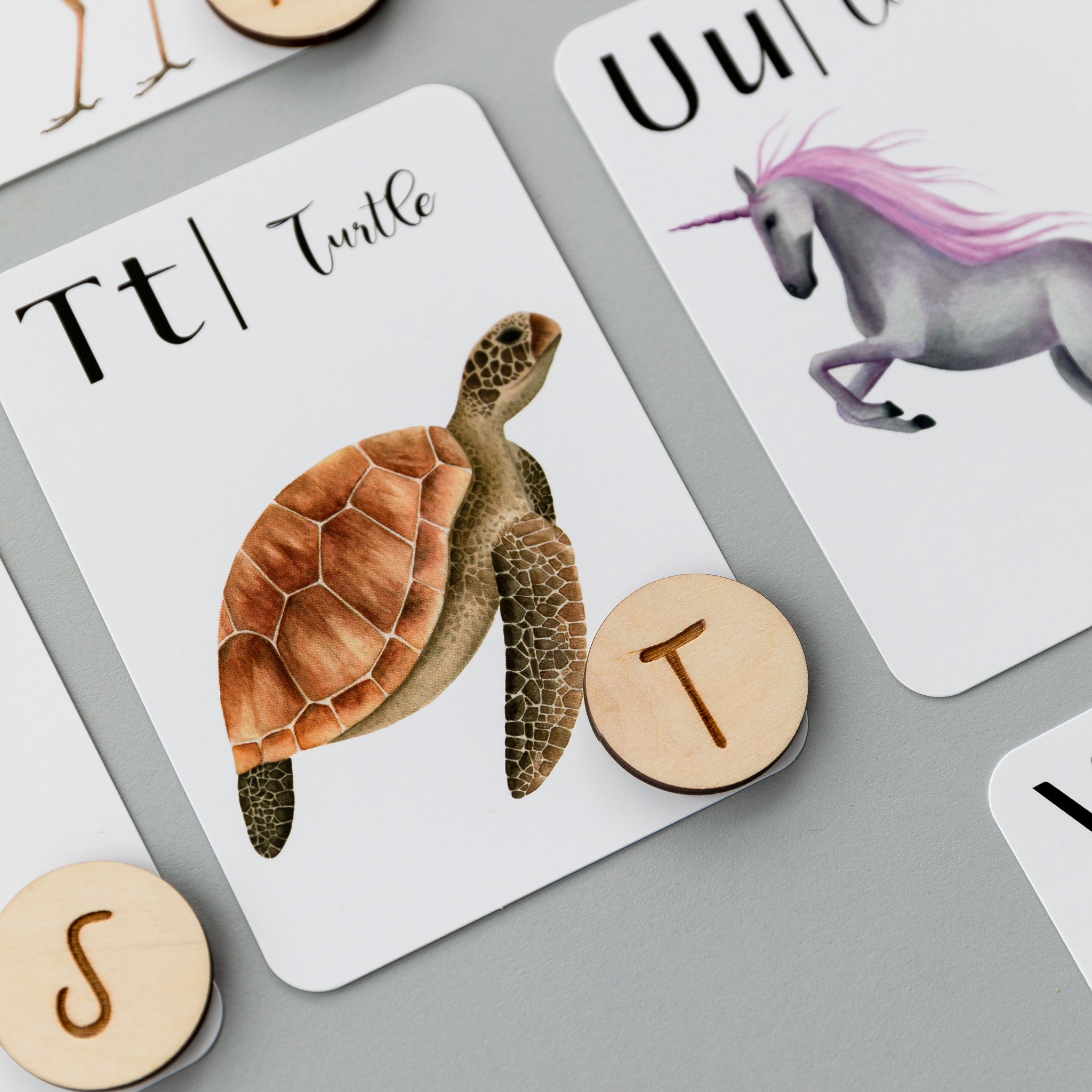 Wooden Alphabet Coins