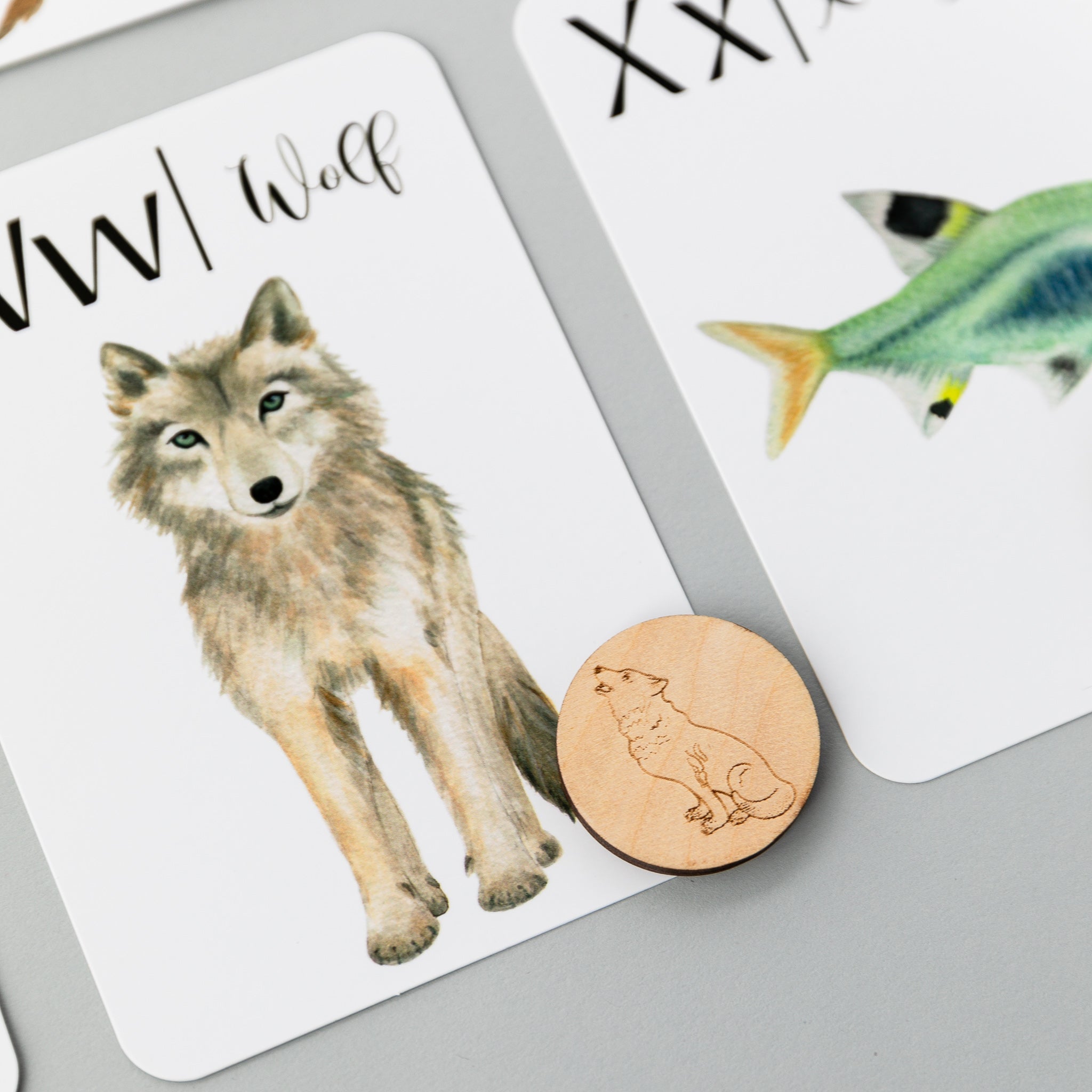 Wooden Animal Alphabet Coins