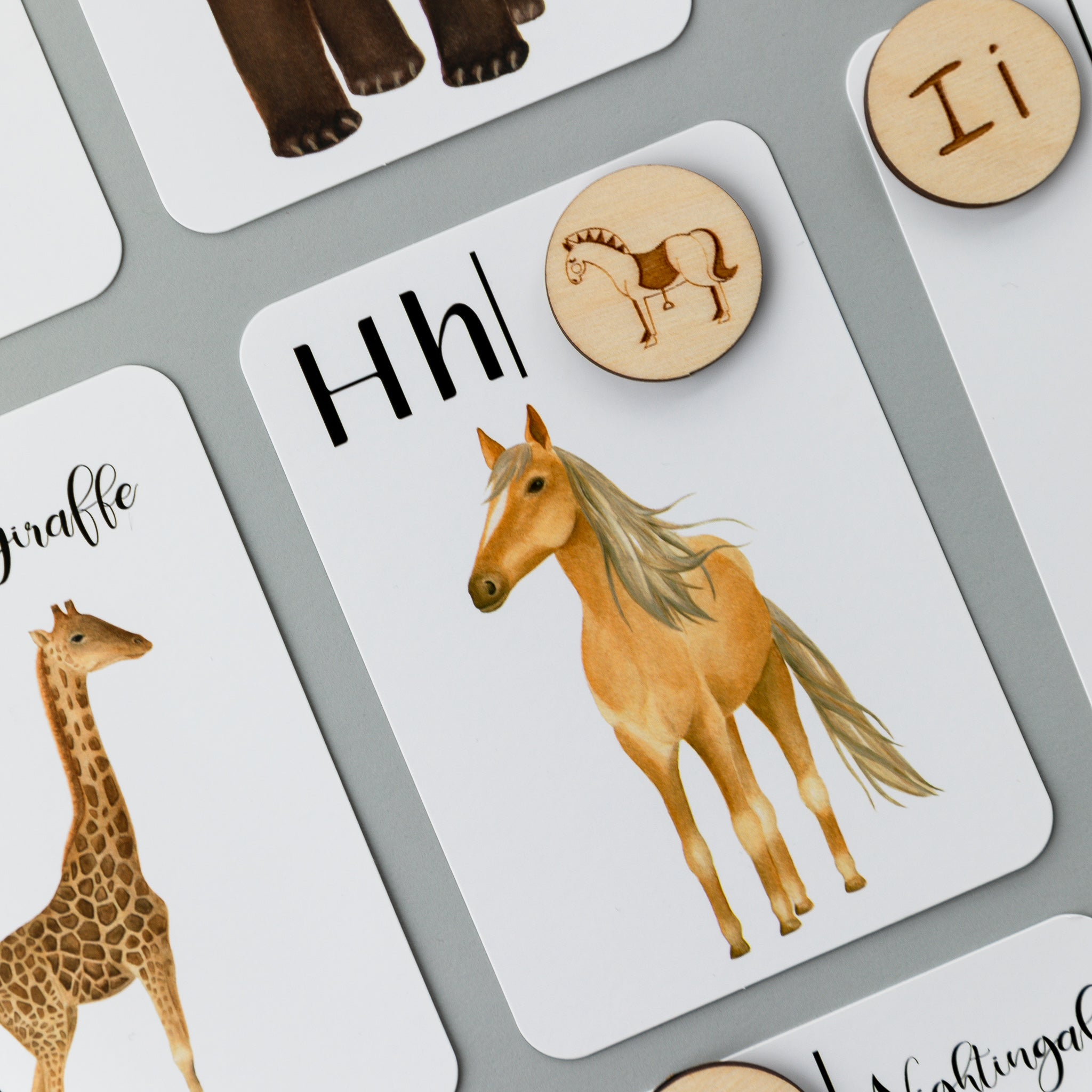 Wooden Animal Alphabet Coins
