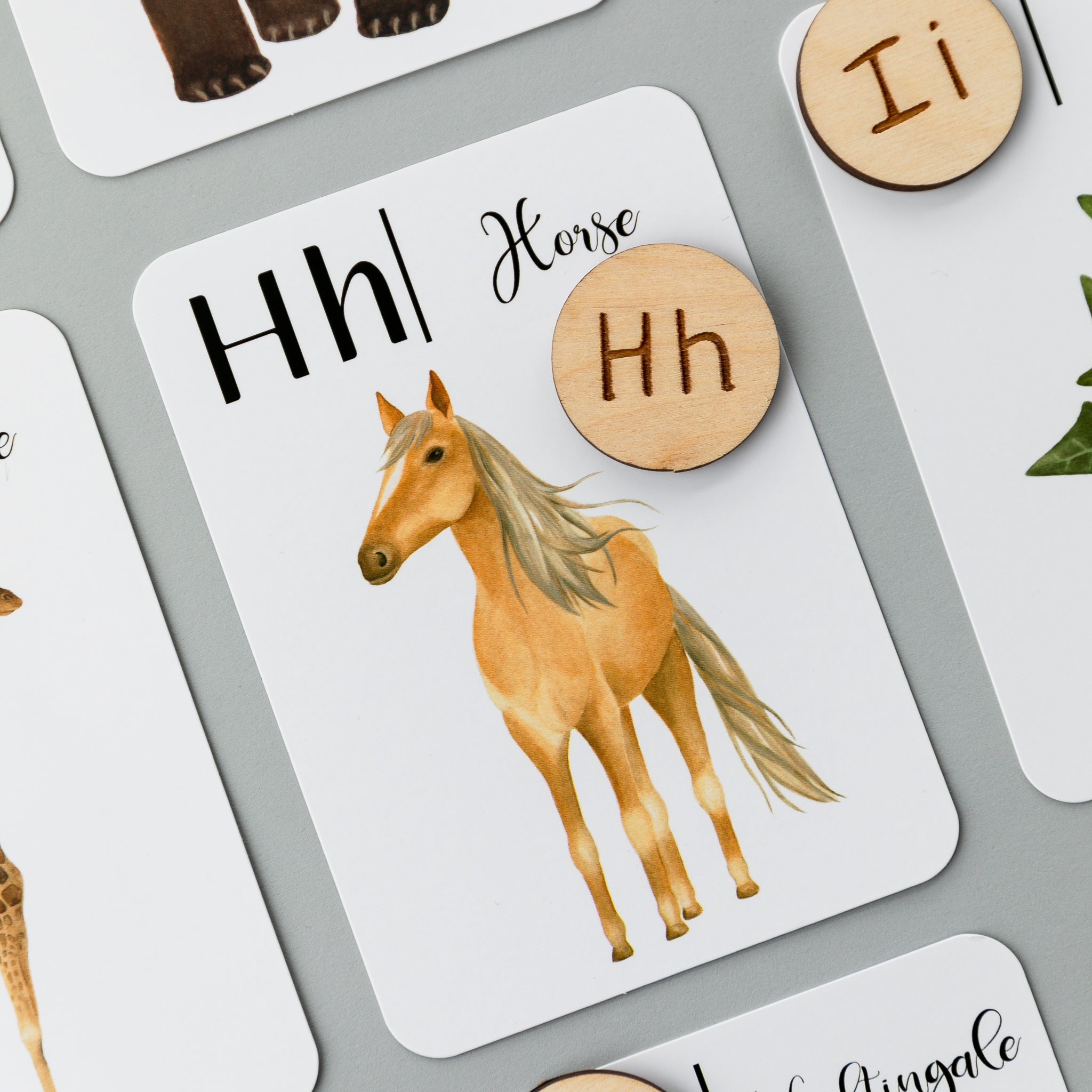 Wooden Animal Alphabet Coins