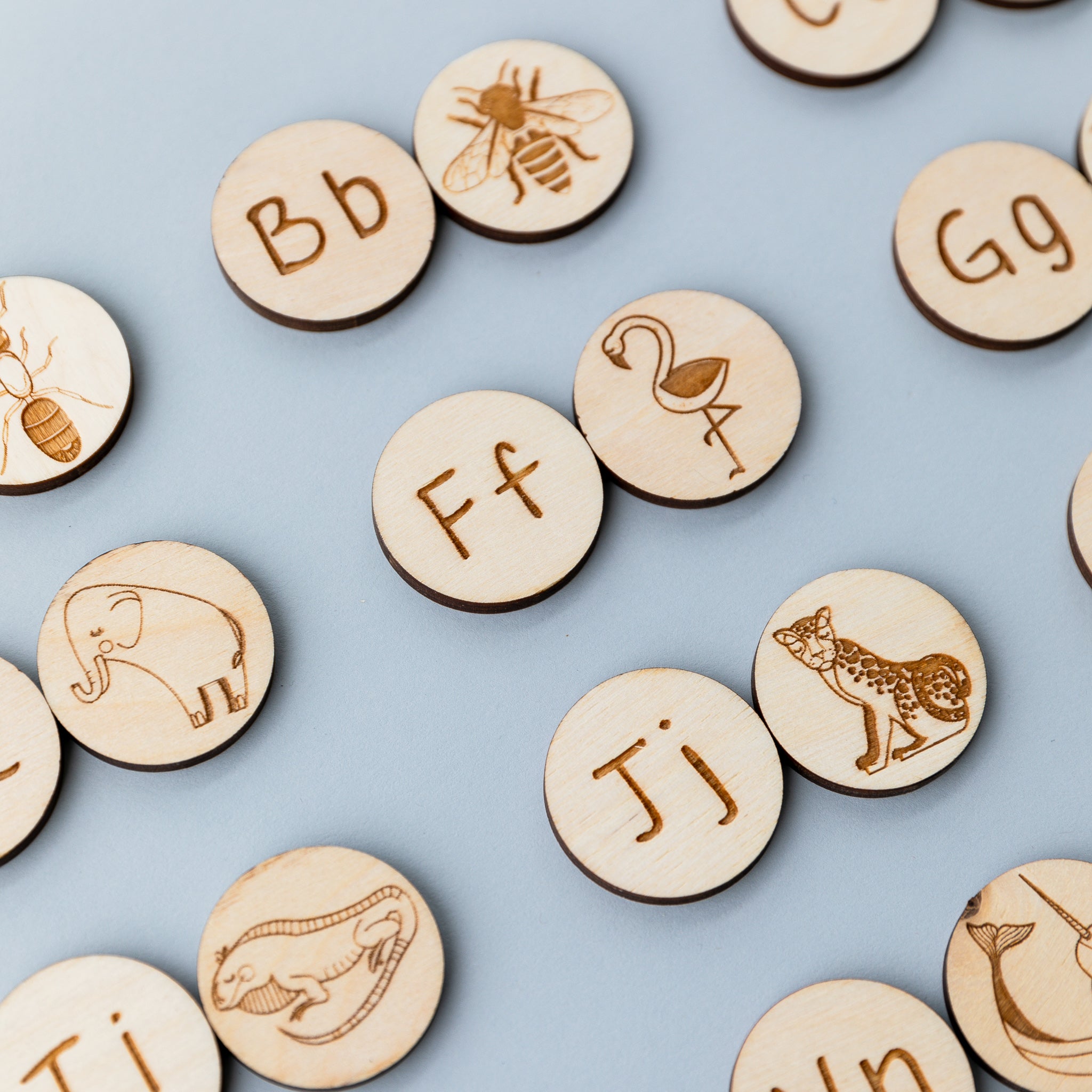 Wooden Animal Alphabet Coins