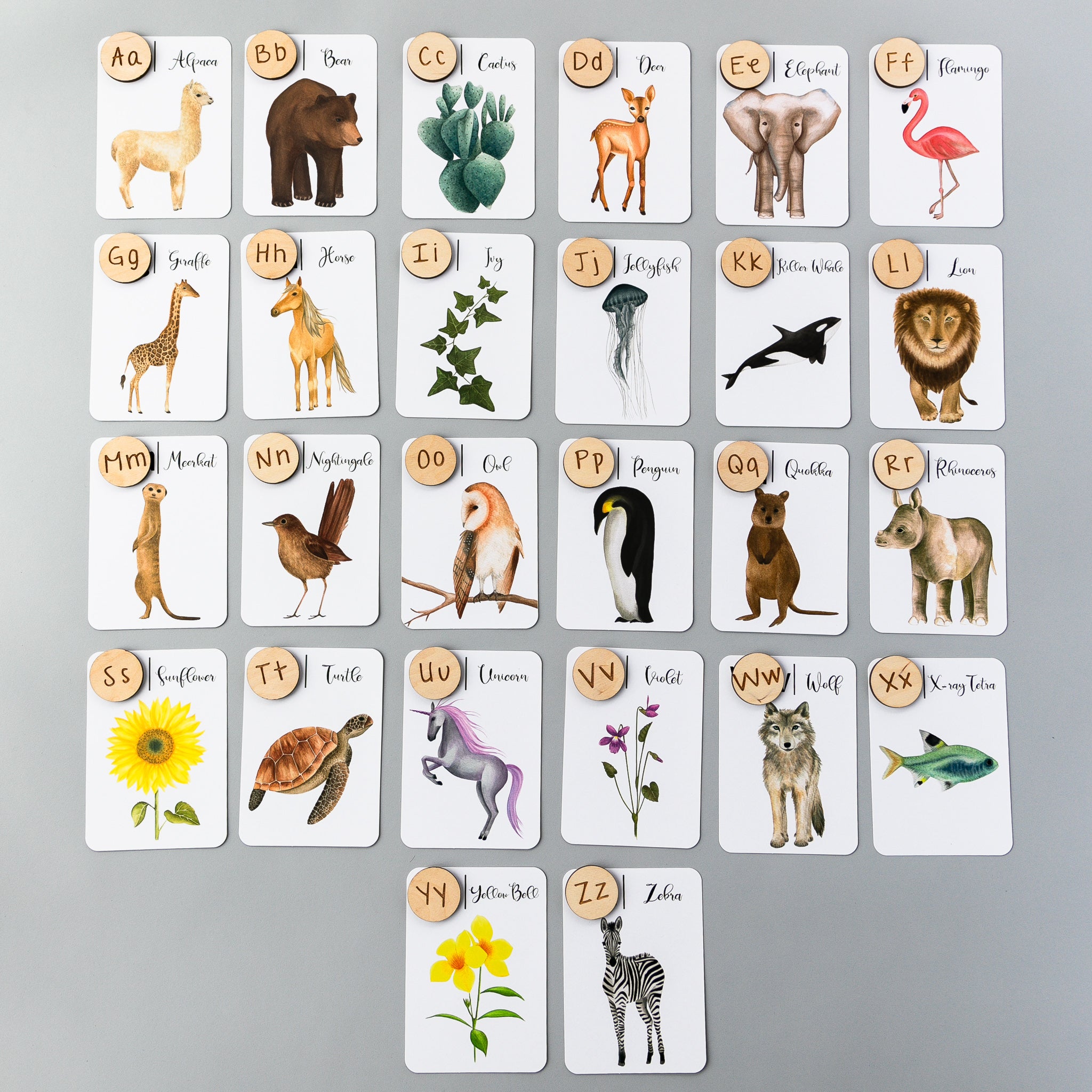 Wooden Animal Alphabet Coins