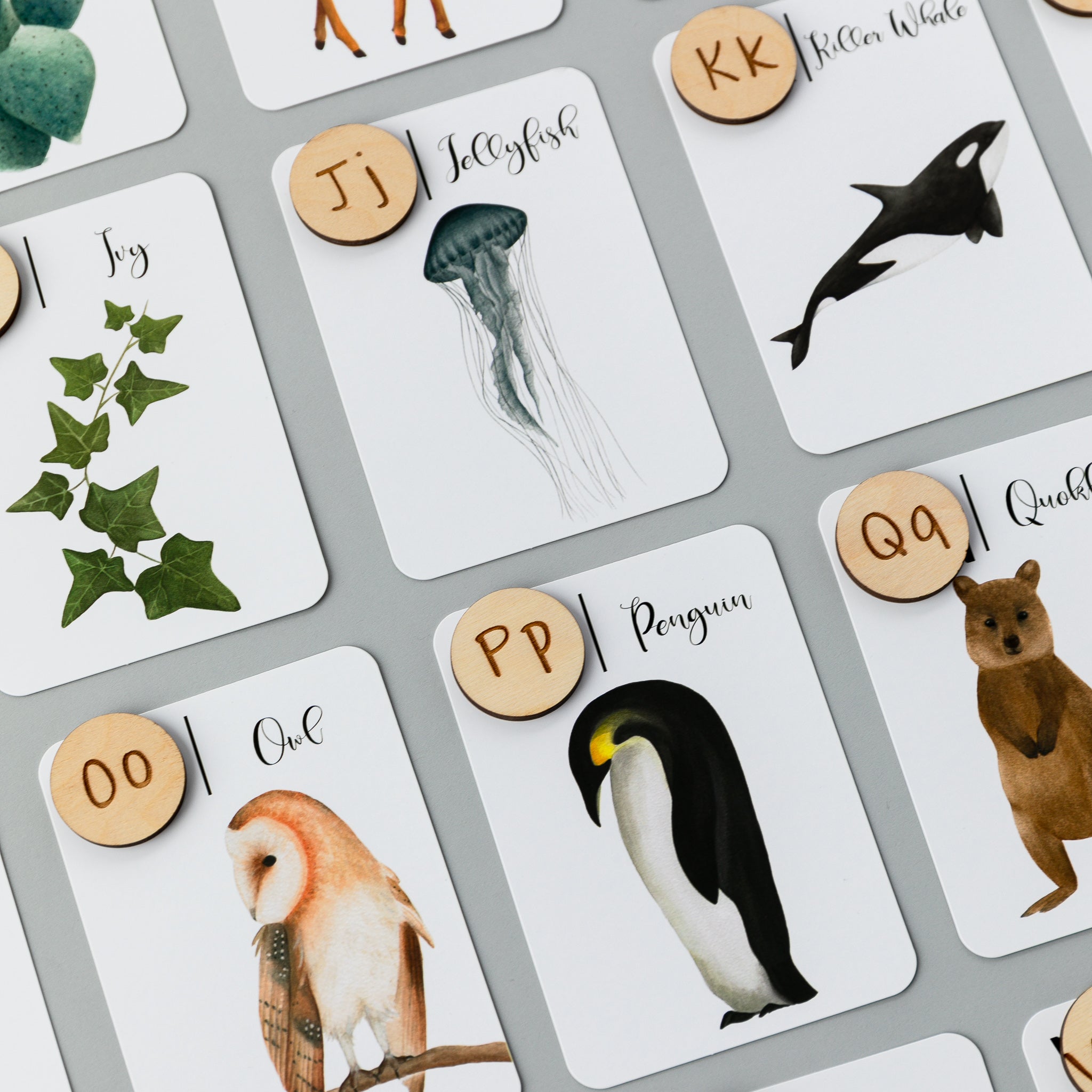 Wooden Animal Alphabet Coins