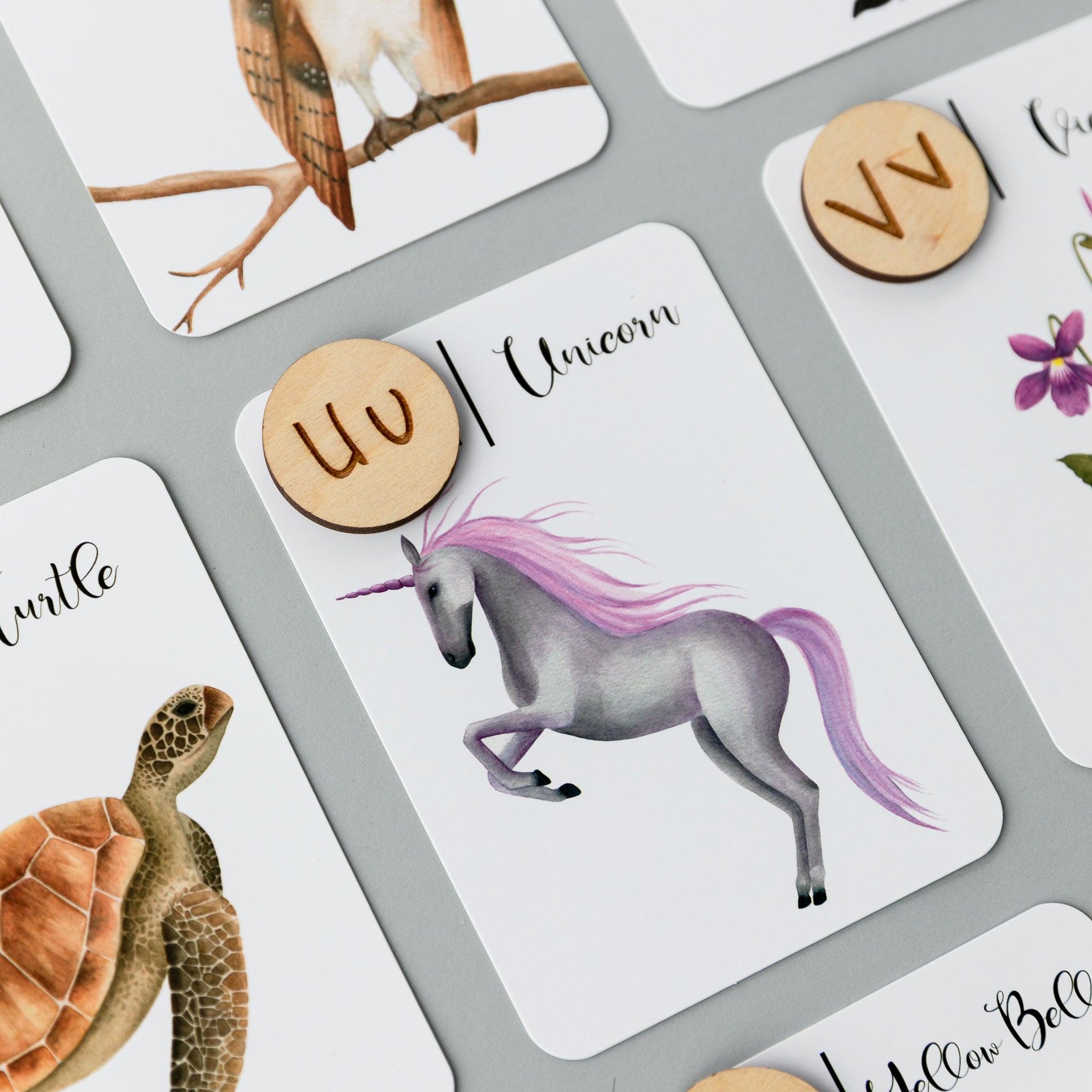 Wooden Animal Alphabet Coins