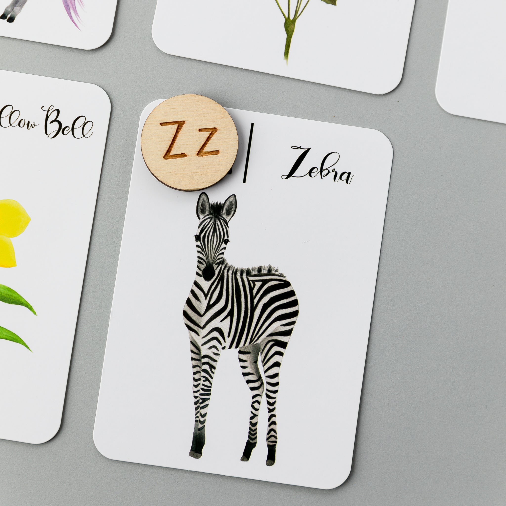 Wooden Animal Alphabet Coins