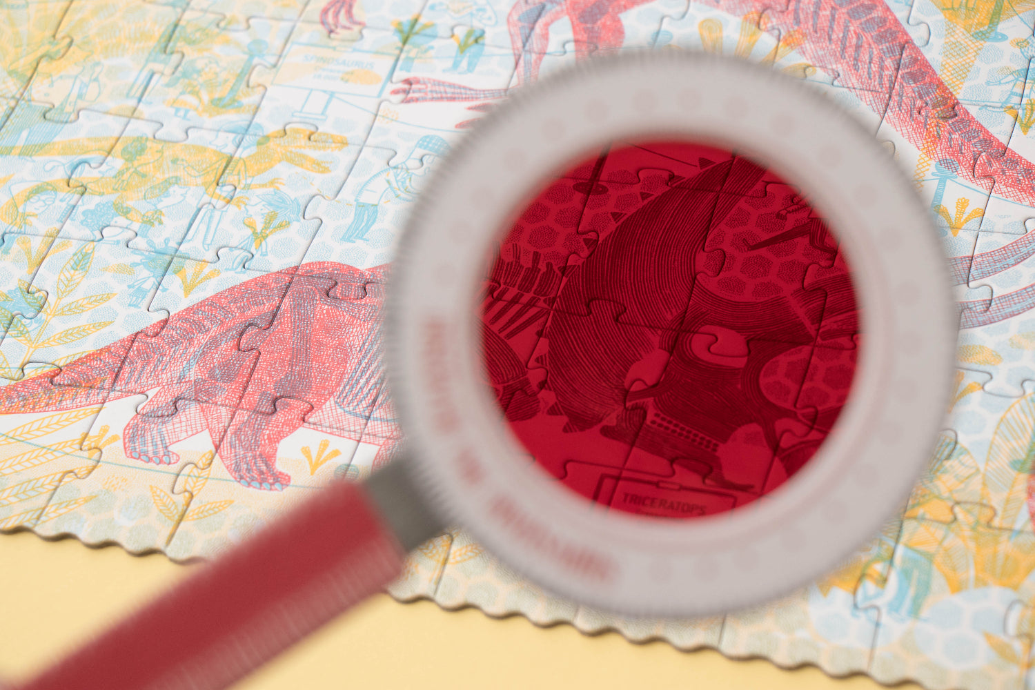 Magnifying glass over a colorful map with a red heart design