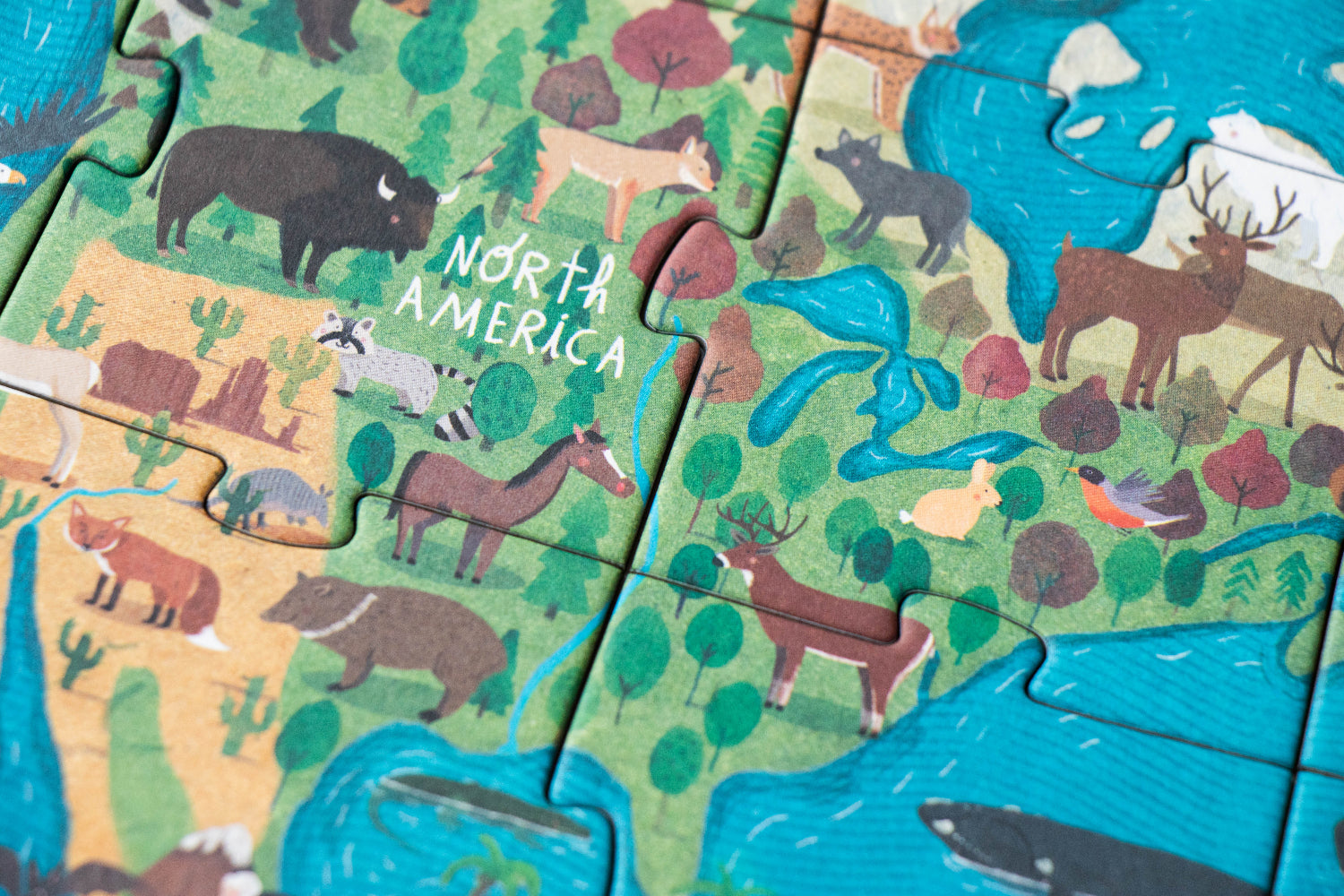 Children's puzzle with North American animals and landscapes