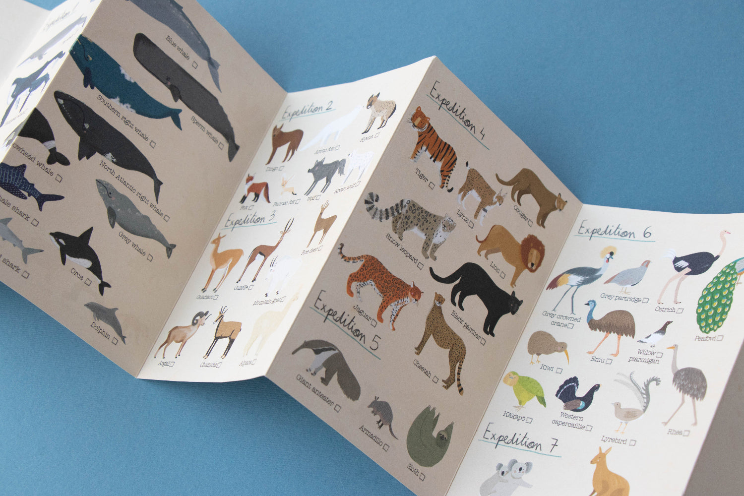 Educational book with illustrations of animals on a blue background