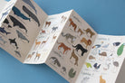 Educational book with illustrations of animals on a blue background