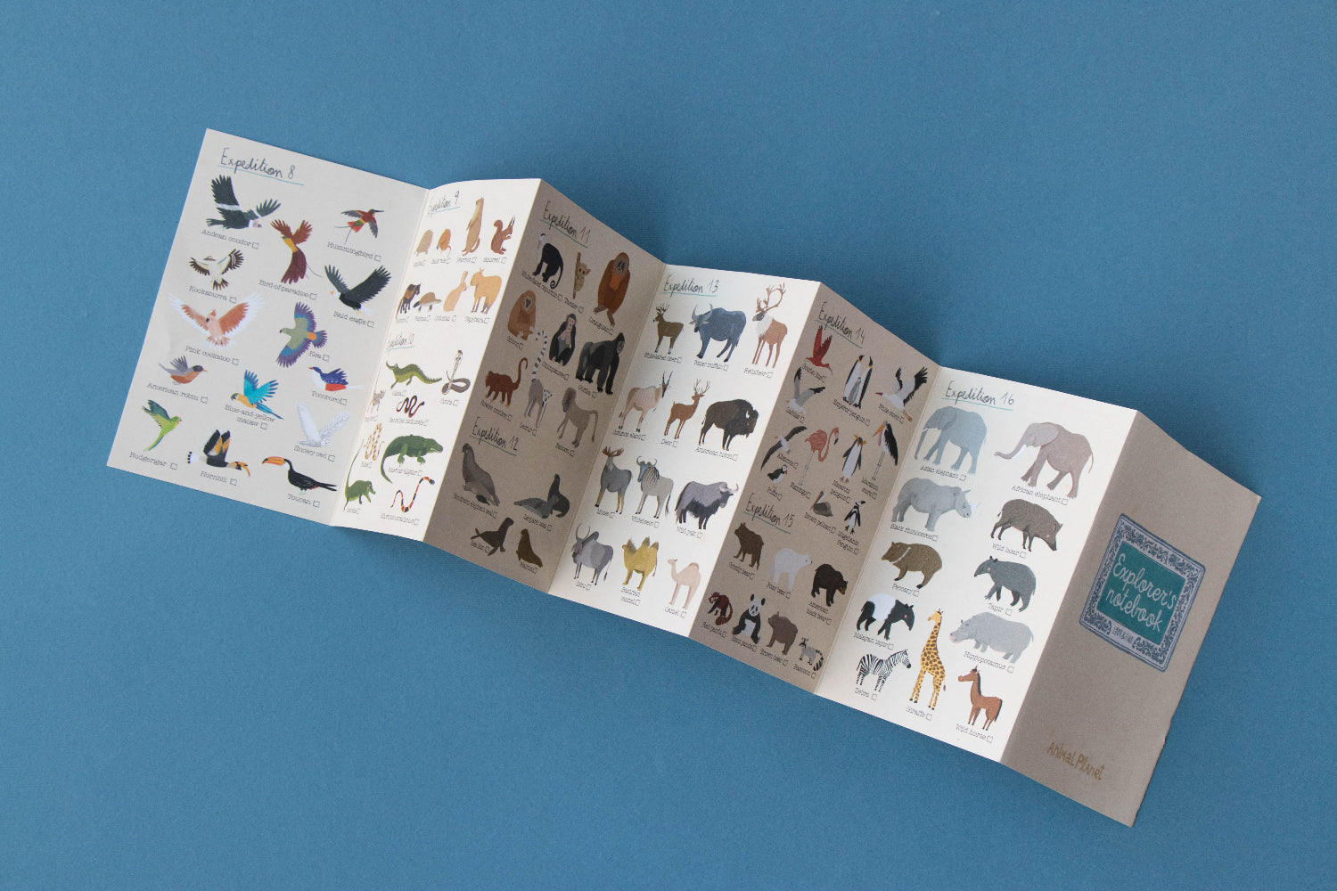 Foldout card with illustrations of animals on a blue background