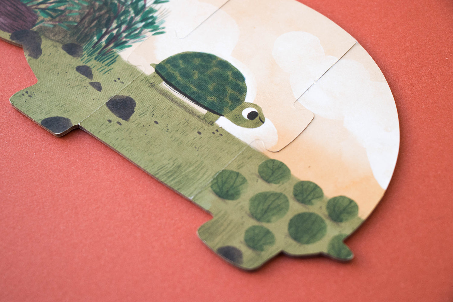 Children's craft of a turtle made from paper with a pink background