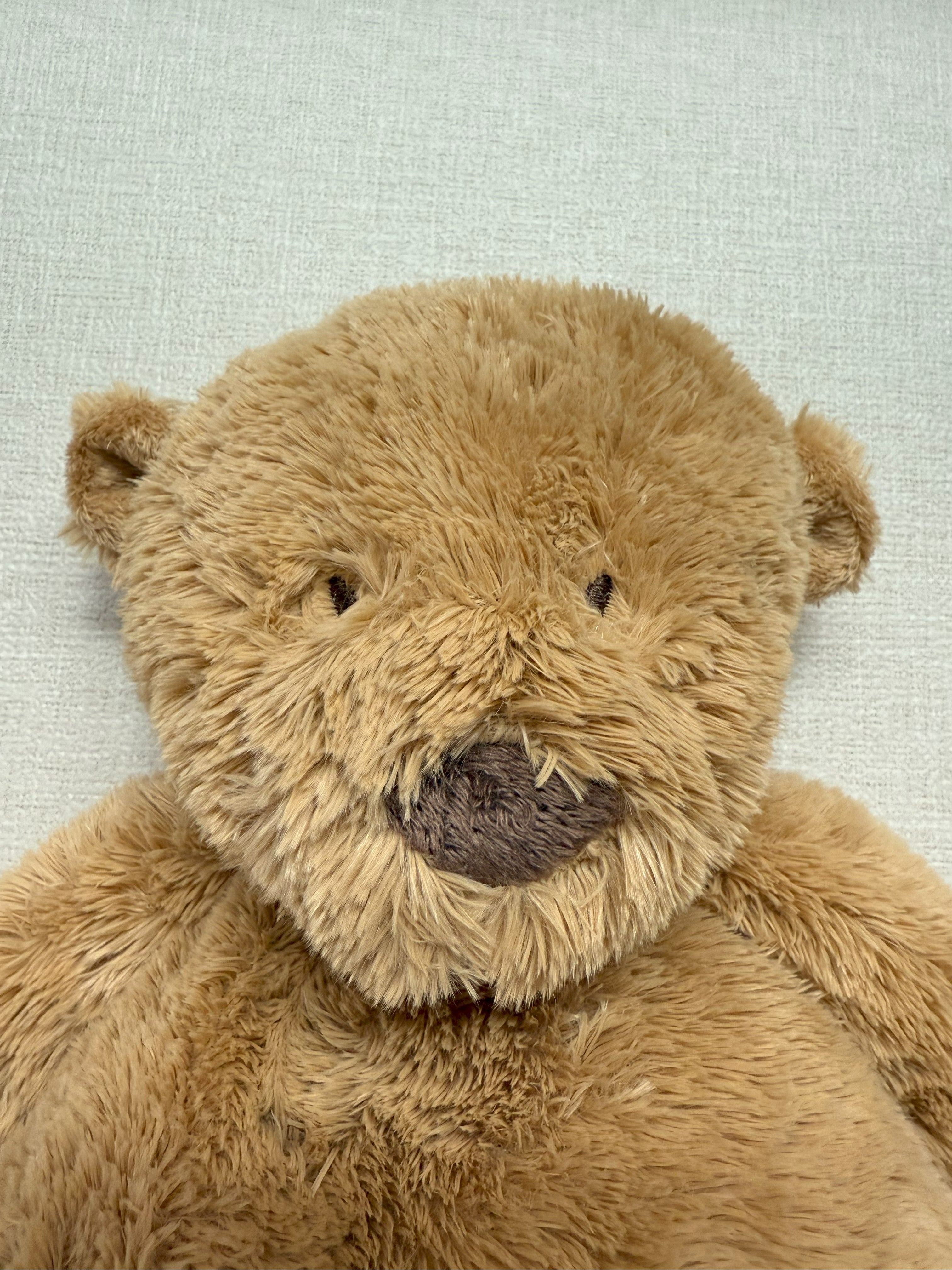 Dimpel | Noann the Teddy Bear (Petite)