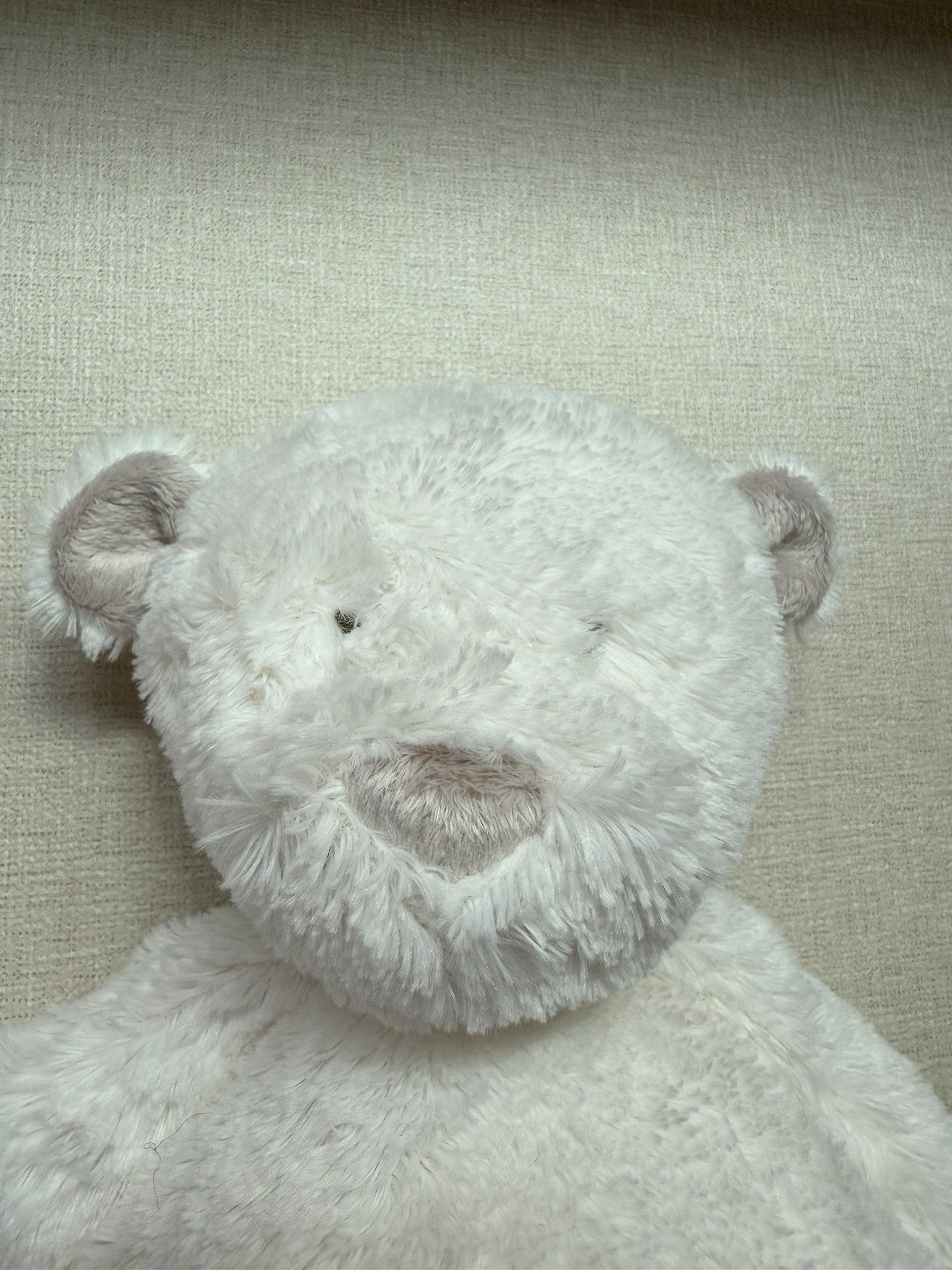 Dimpel | Noann the Teddy Bear (Petite)