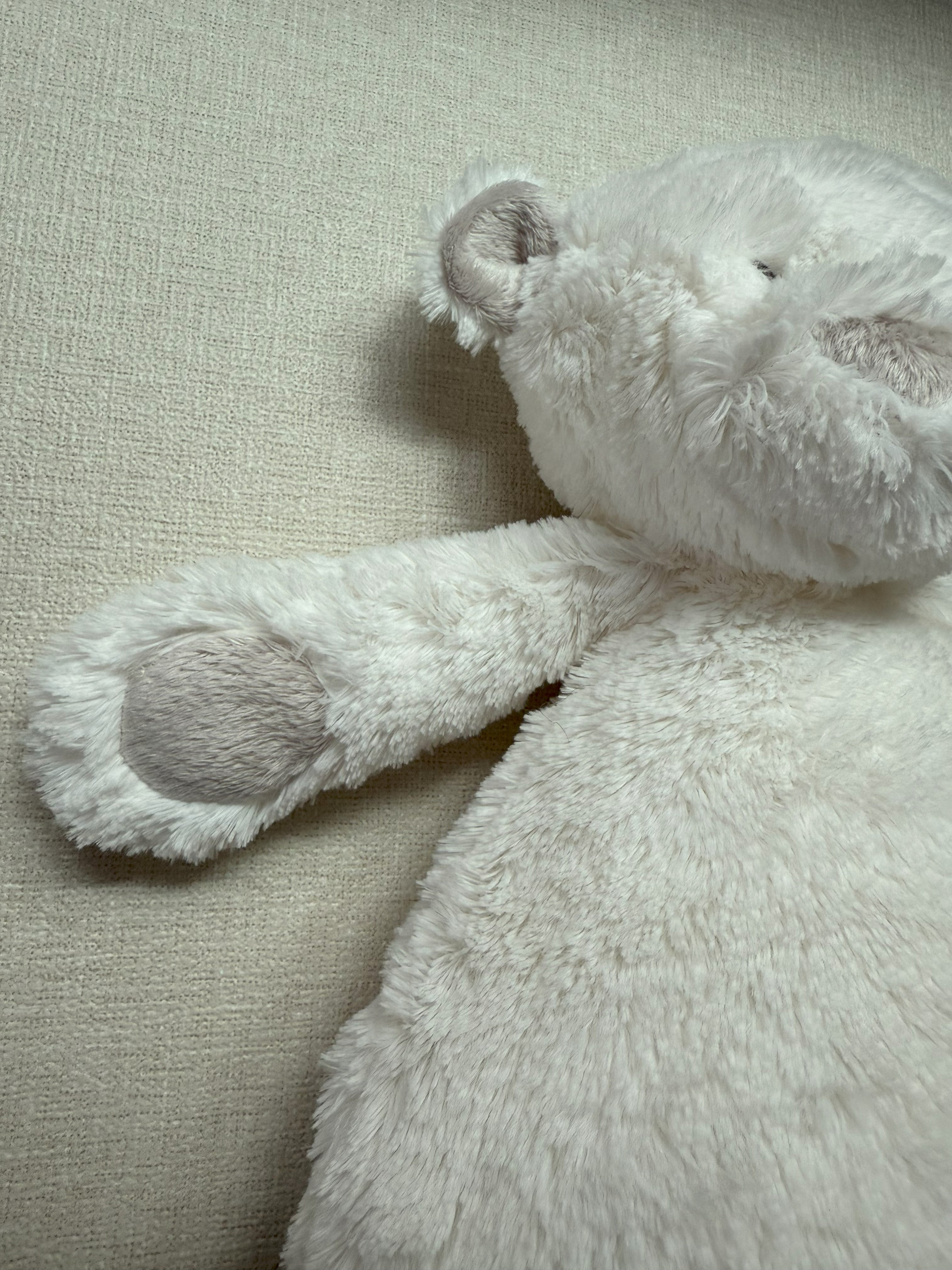 Dimpel | Noann the Teddy Bear (Petite)