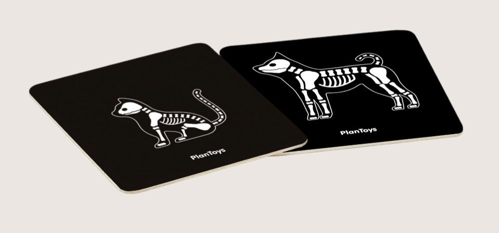 Two black cards with white animal skeletons on a light gray background