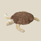 Senger Brown Turtle