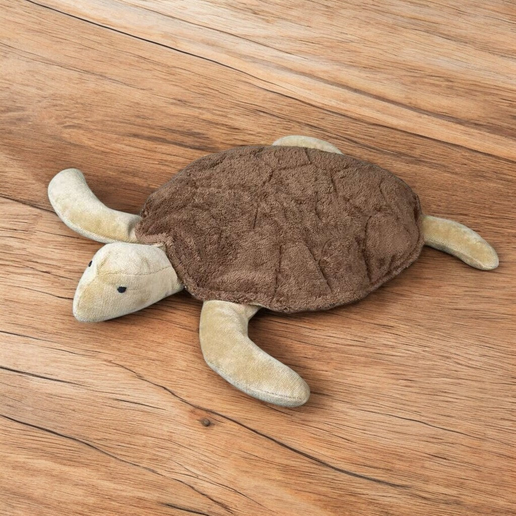 Senger Brown Turtle