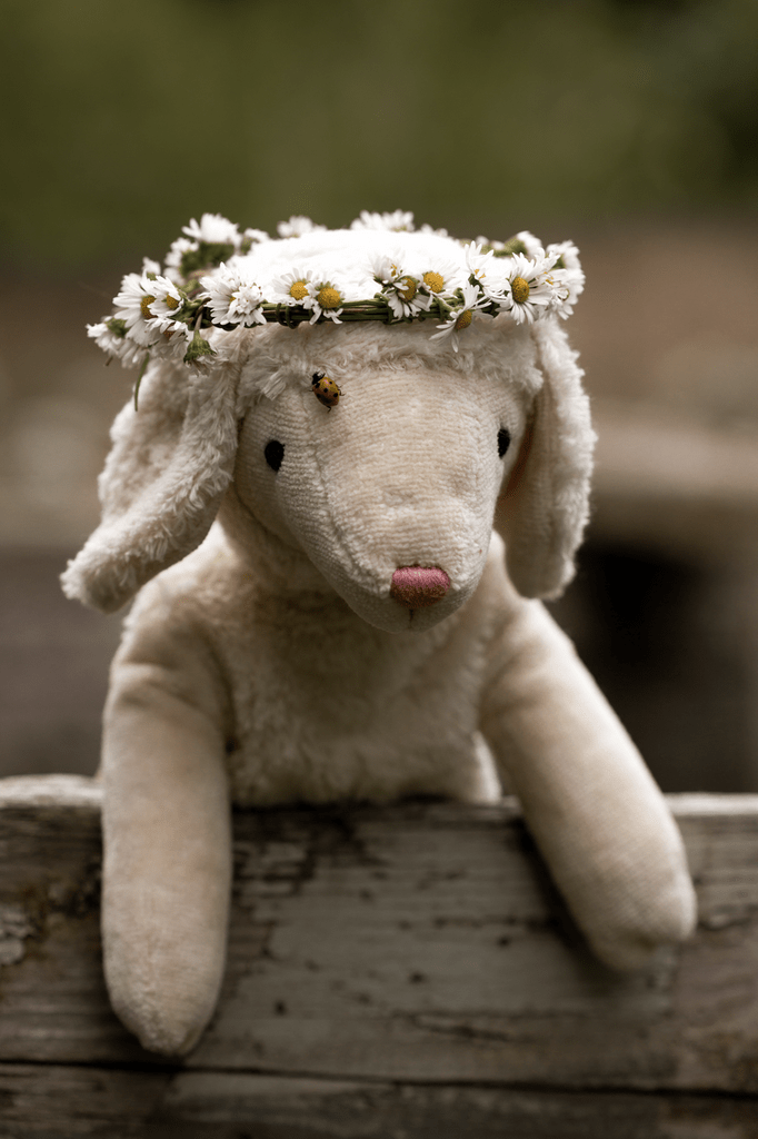 GOTS-certified organic cotton white sheep toy from Senger Naturwelt's sustainable collection