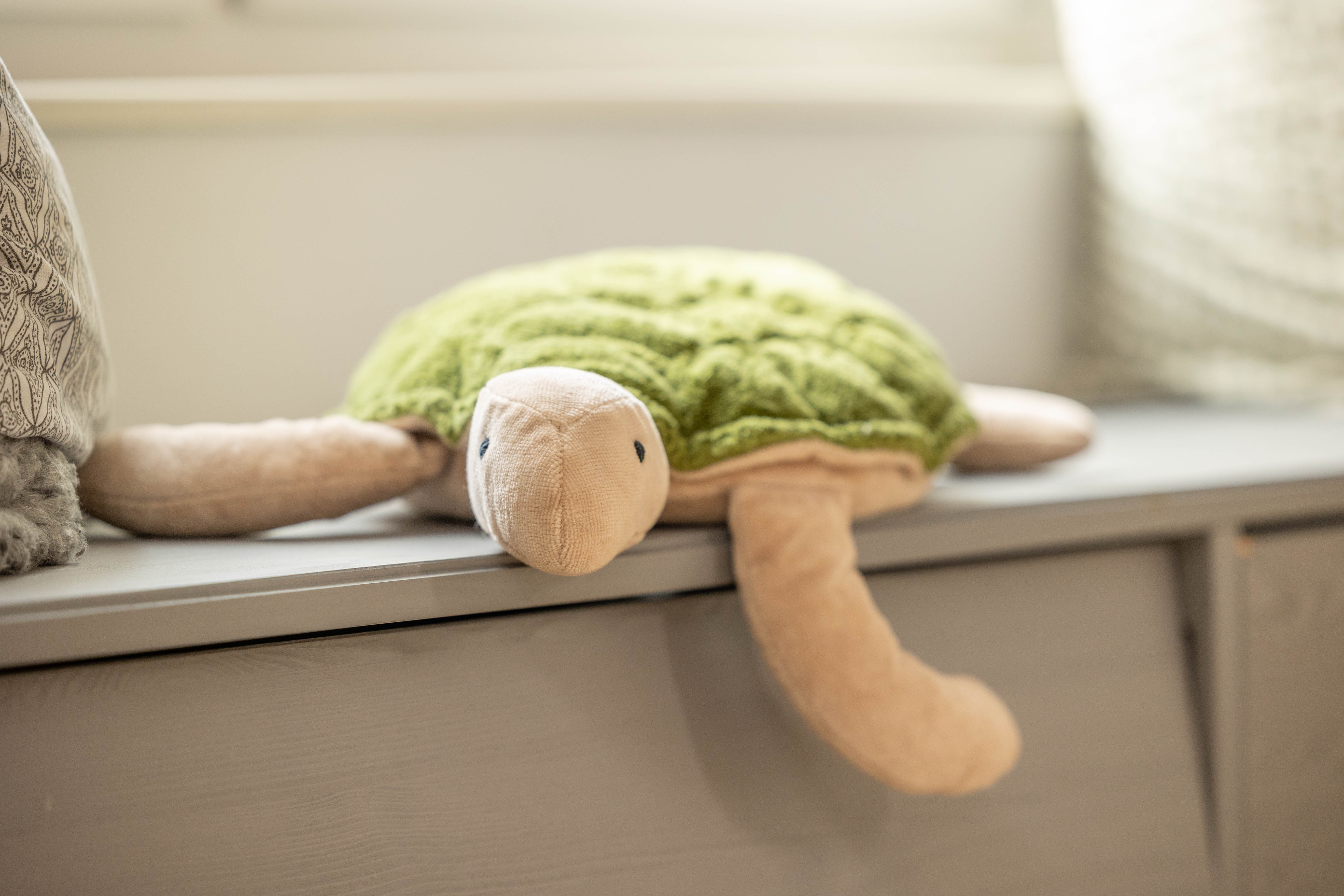 Senger Green Turtle