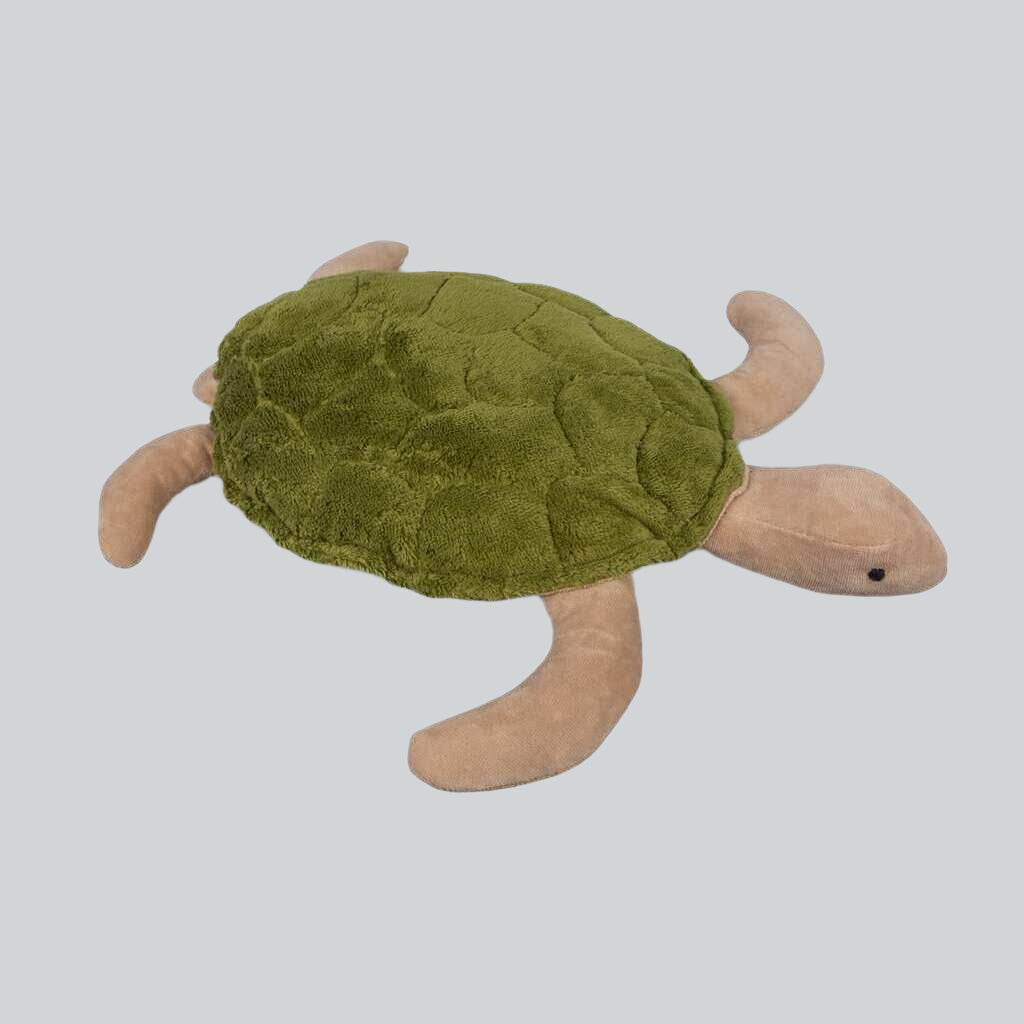 Senger Green Turtle