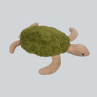 Senger Green Turtle