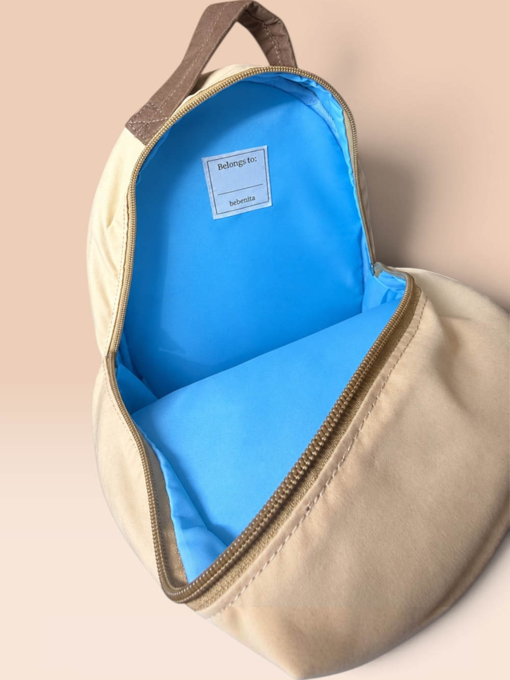 The Little Carrier Interior