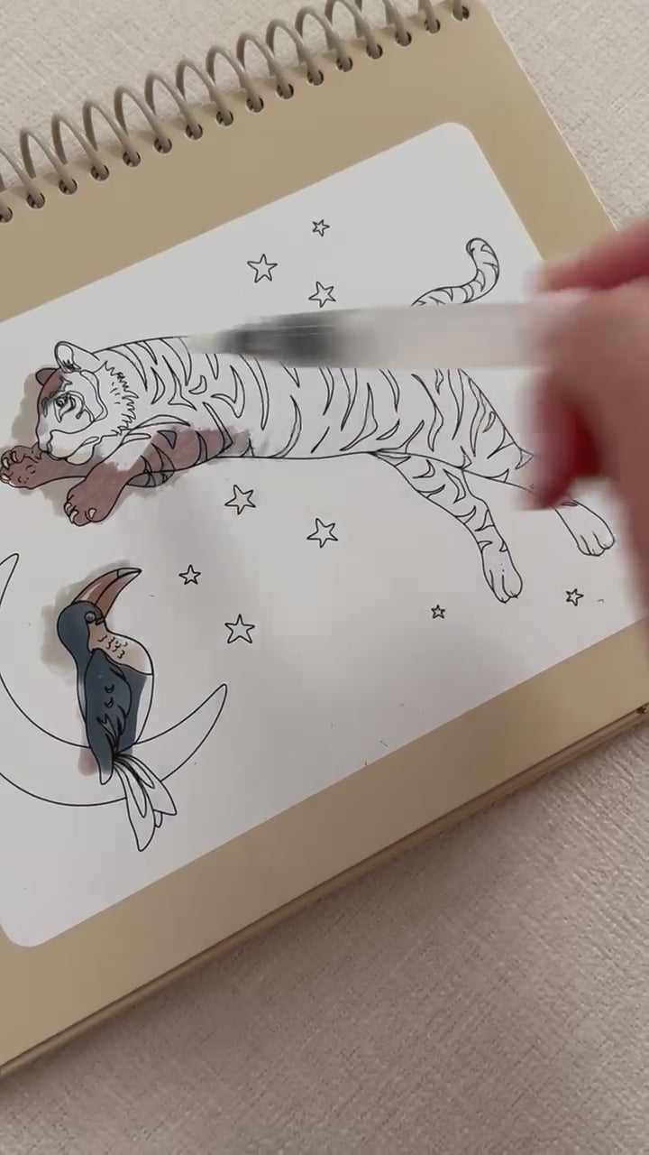 Magic Water Coloring Book - Sleet