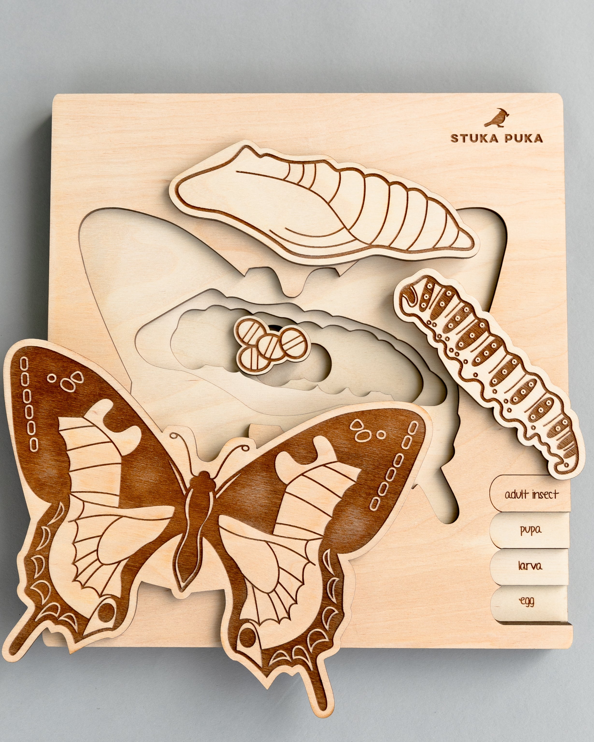 Butterfly Life Cycle Wooden Puzzle