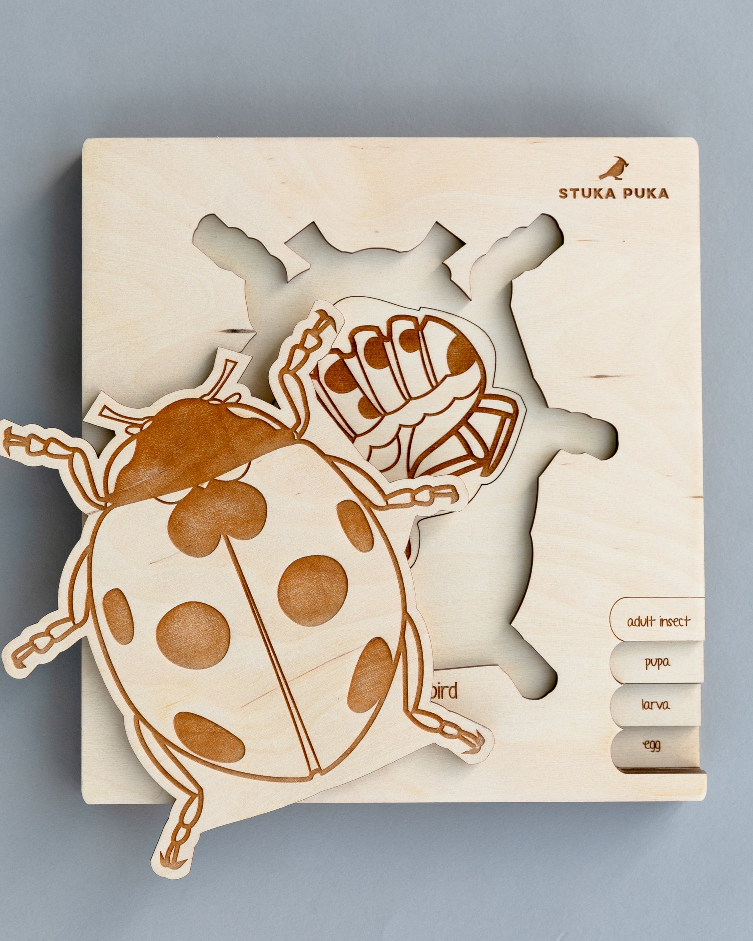 Ladybug Life Cycle Wooden Puzzle