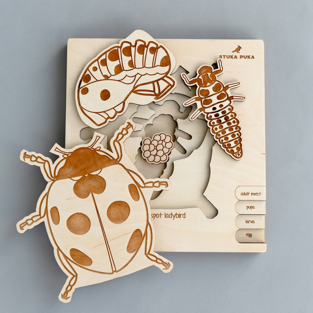 Ladybug Life Cycle Wooden Puzzle