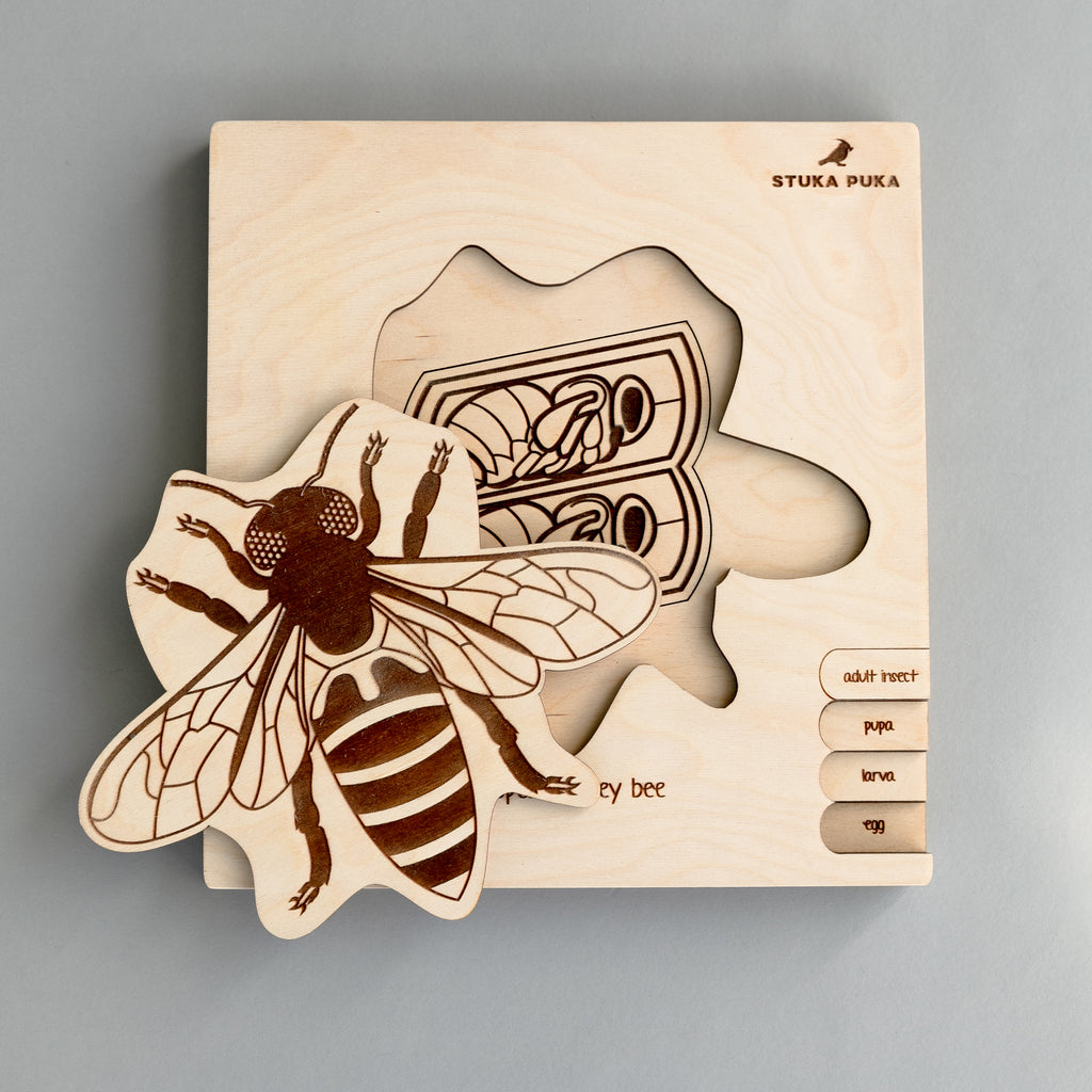Honey Bee Life Cycle Wooden Puzzle