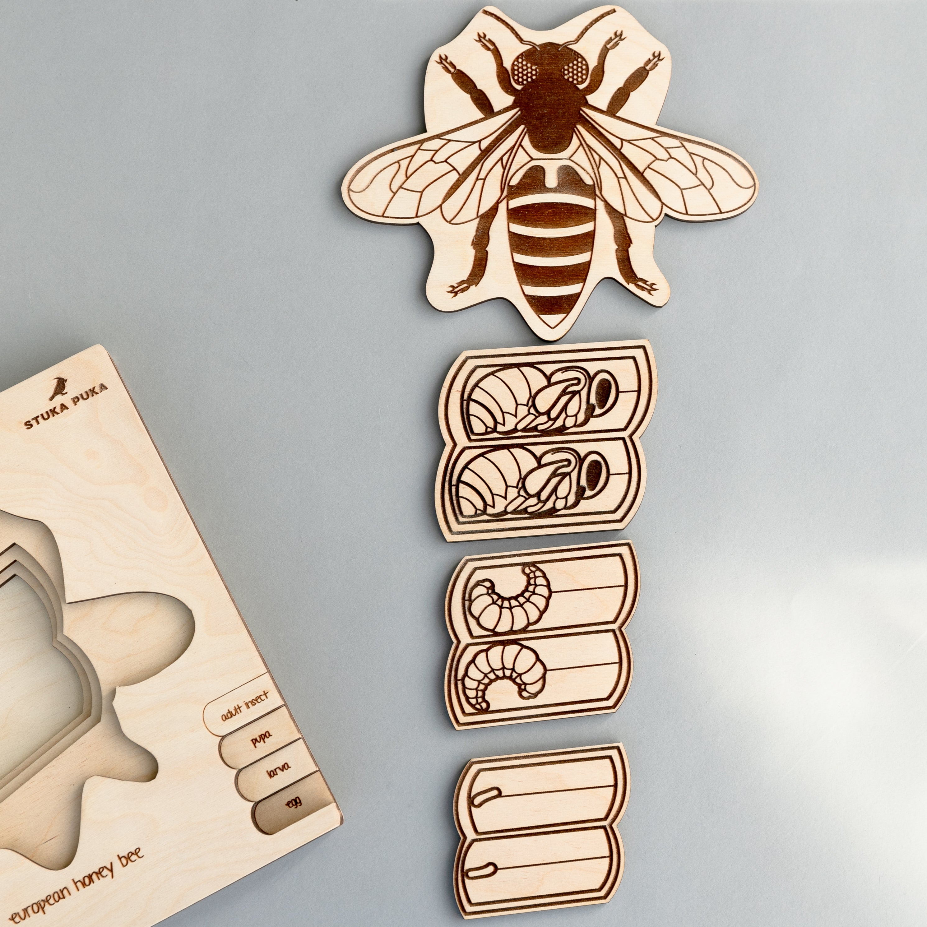 Honey Bee Life Cycle Wooden Puzzle