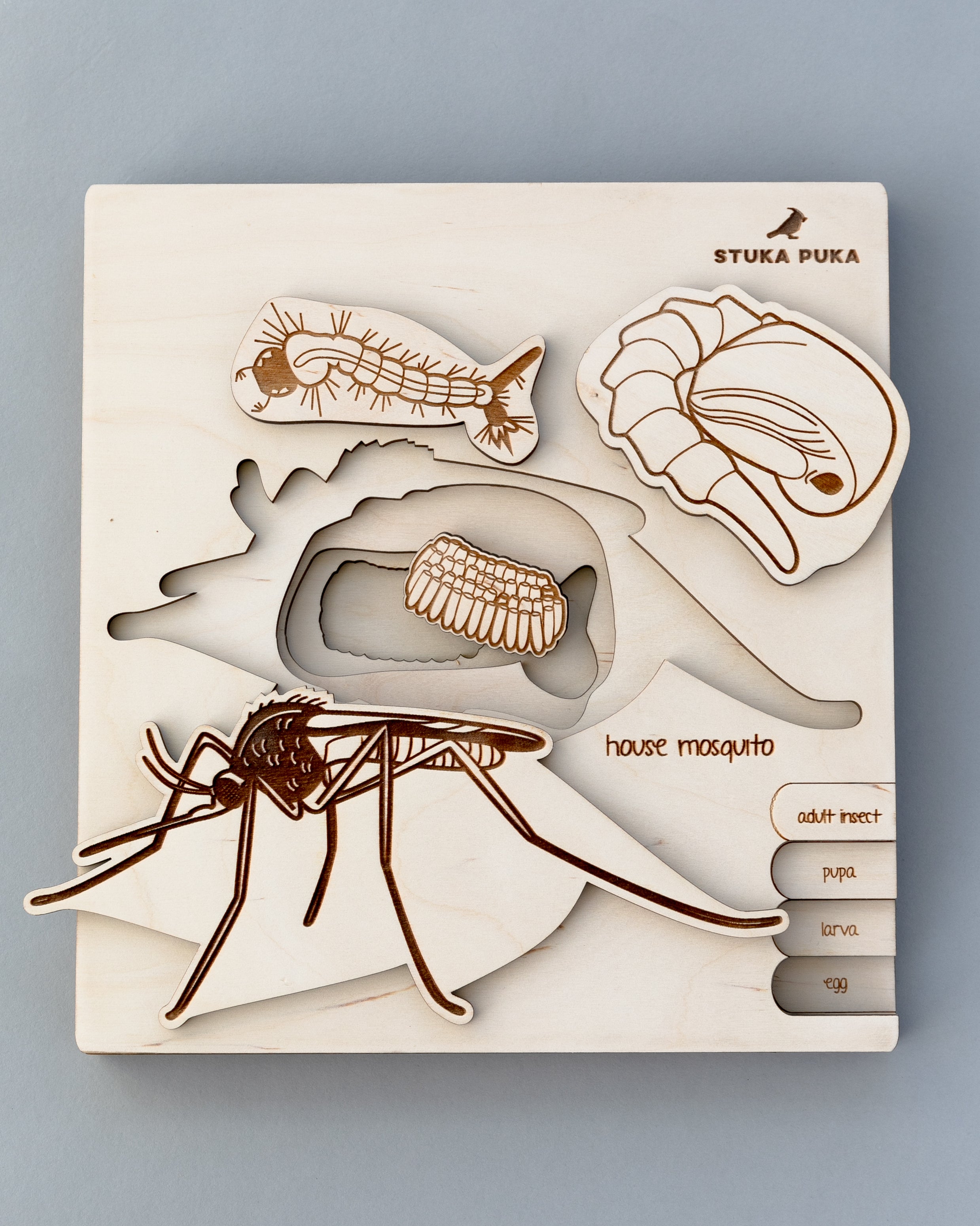 Mosquito Life Cycle Wooden Puzzle
