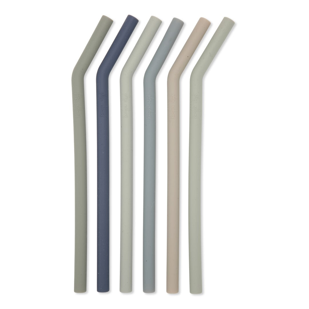 Silicone Straws (6 pack)