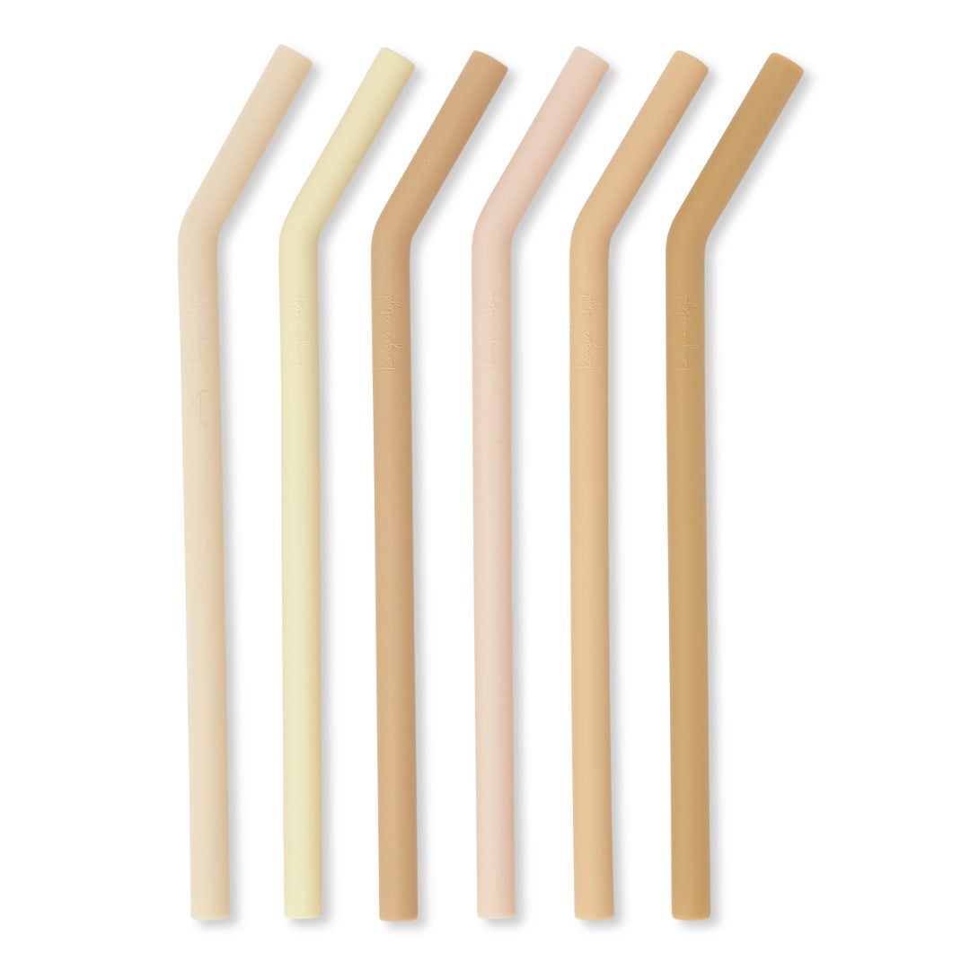 Silicone Straws (6 pack)