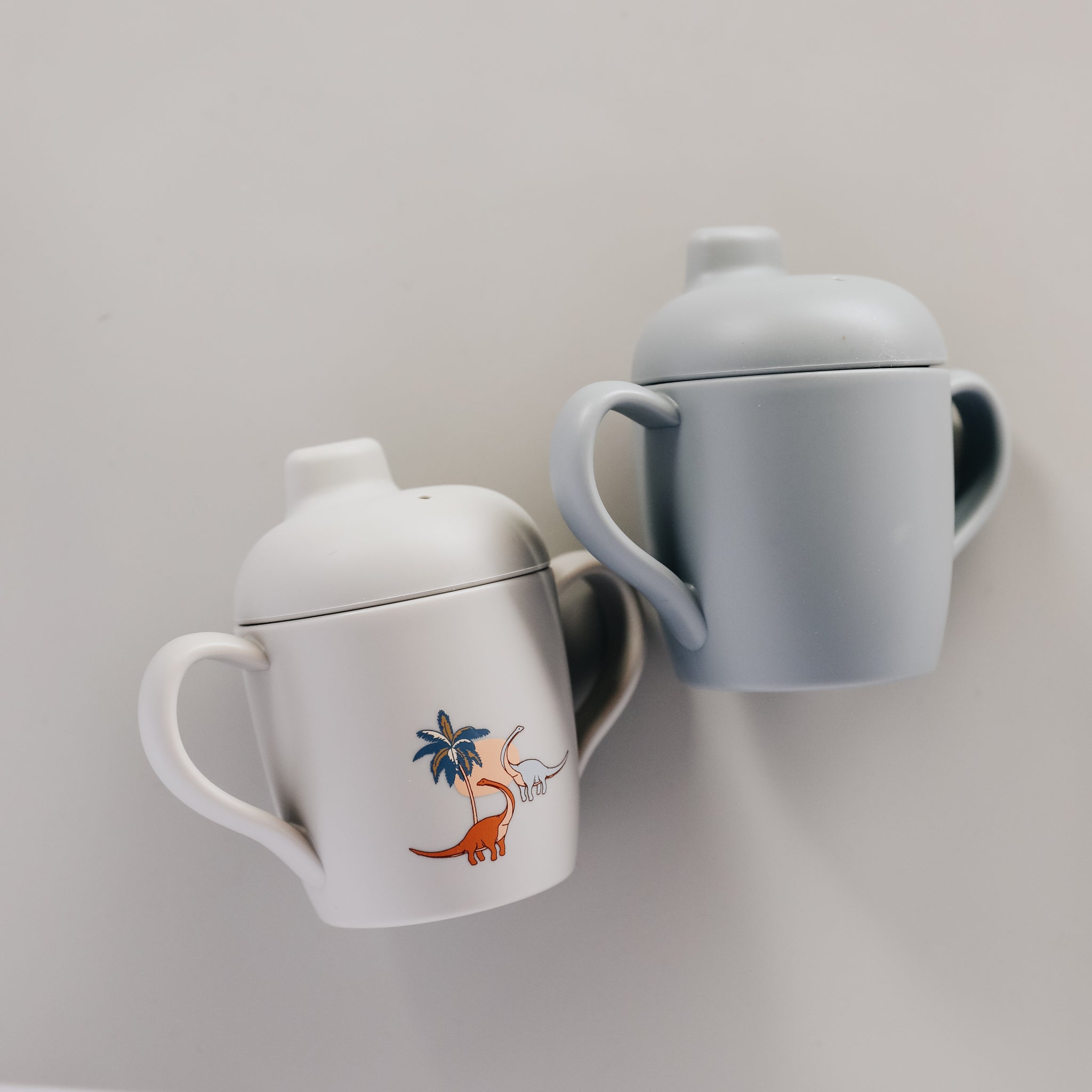 Sippy Cup (2 pack) - Dino
