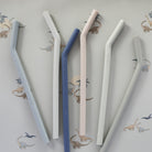 Silicone Straws (6 pack)