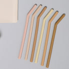 Silicone Straws (6 pack)
